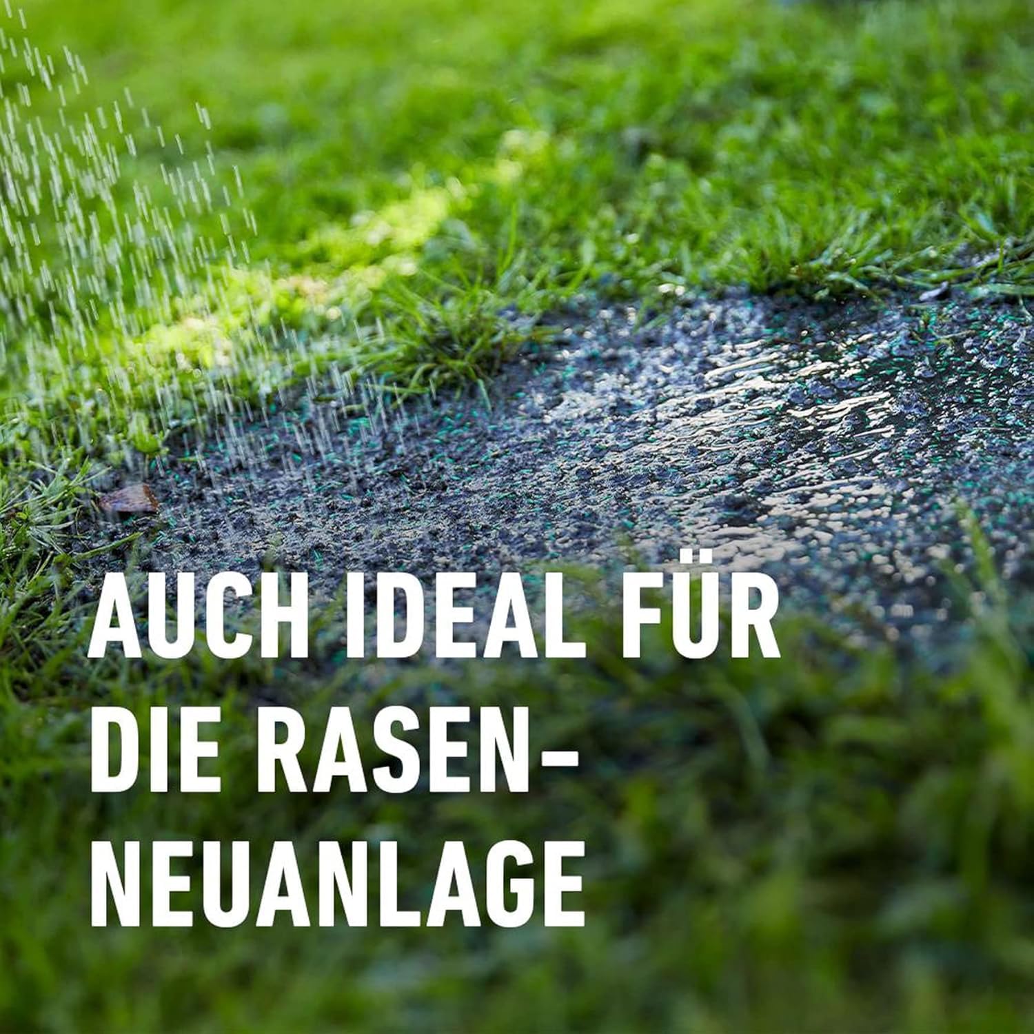 COMPO SAAT Trocken-Rasen, Hitze- und trockenverträgliche Rasensamen/Grassamen für trockene und sonnige Standorte, 2 kg, 80 m²