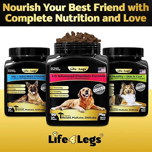 Miniatura 7 de Soft Chews - Vitaminas y suplementos para perros, multivitamínico para perros, aceite de cáñamo, glucosamina, condroitina, apoyo para la salud de la