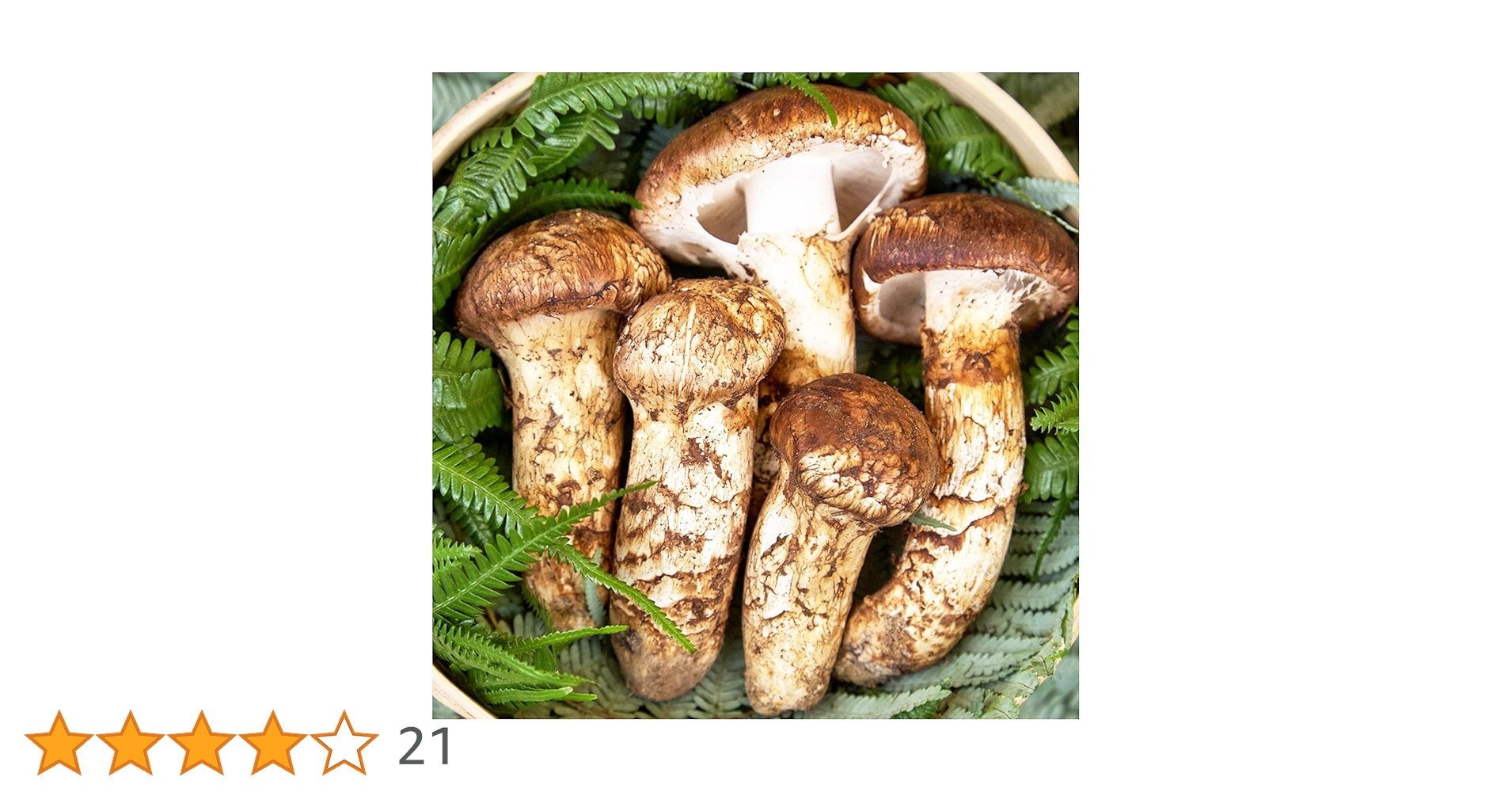 松茸　２本 Amazon.co.jp: Raw Matsutake Mushrooms, Special Selection, Medium