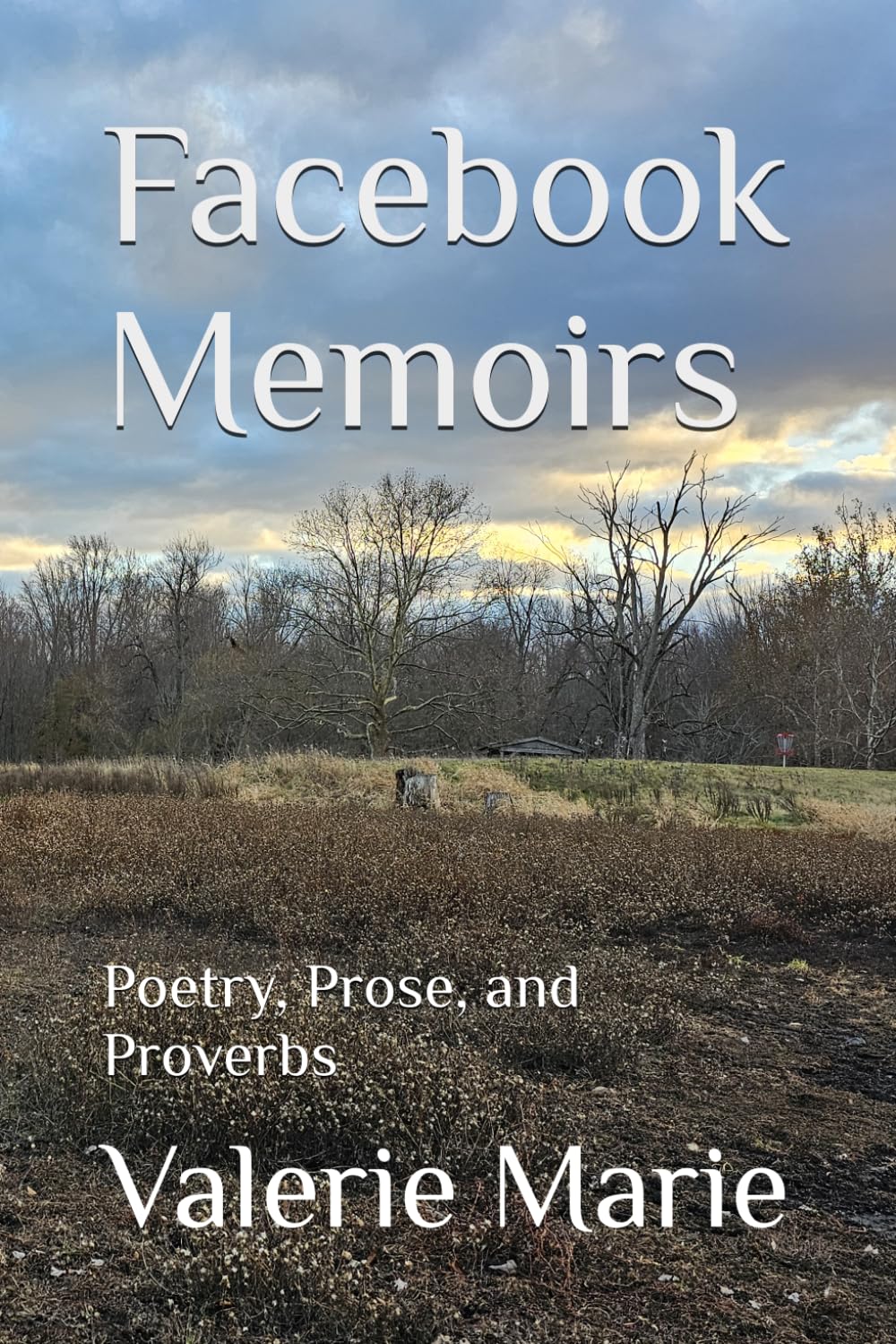 Facebook Memoirs: Poetry, Prose, and Proverbs