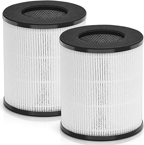 CL-6070A - Filtro compatible con BEABA Nursery y Tenergy Renair TAP01 y Cool-Living CL-6070A y Tredy TD-1300 Purificador de aire con filtro H13 True