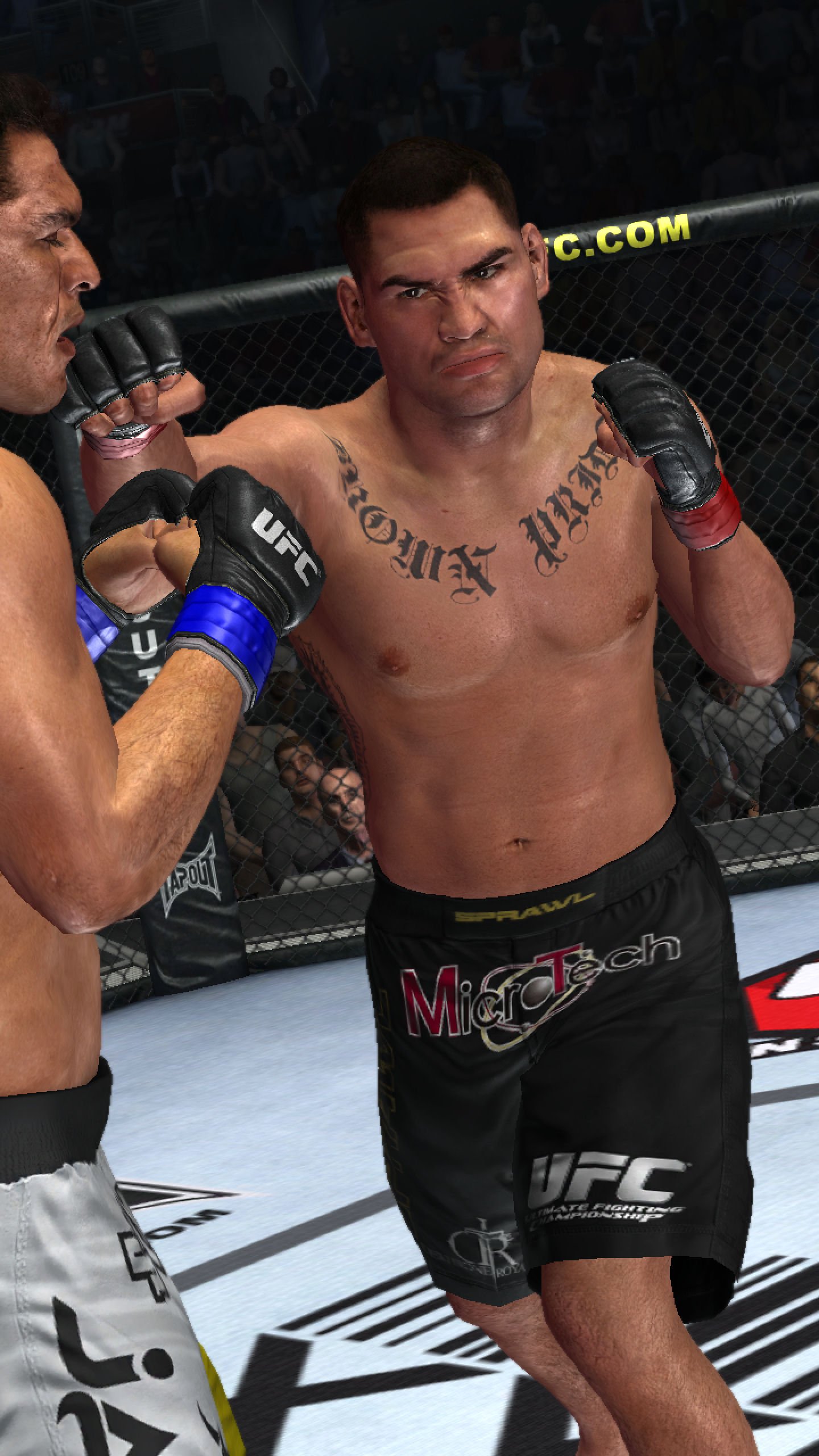 THQ UFC Undisputed 2010