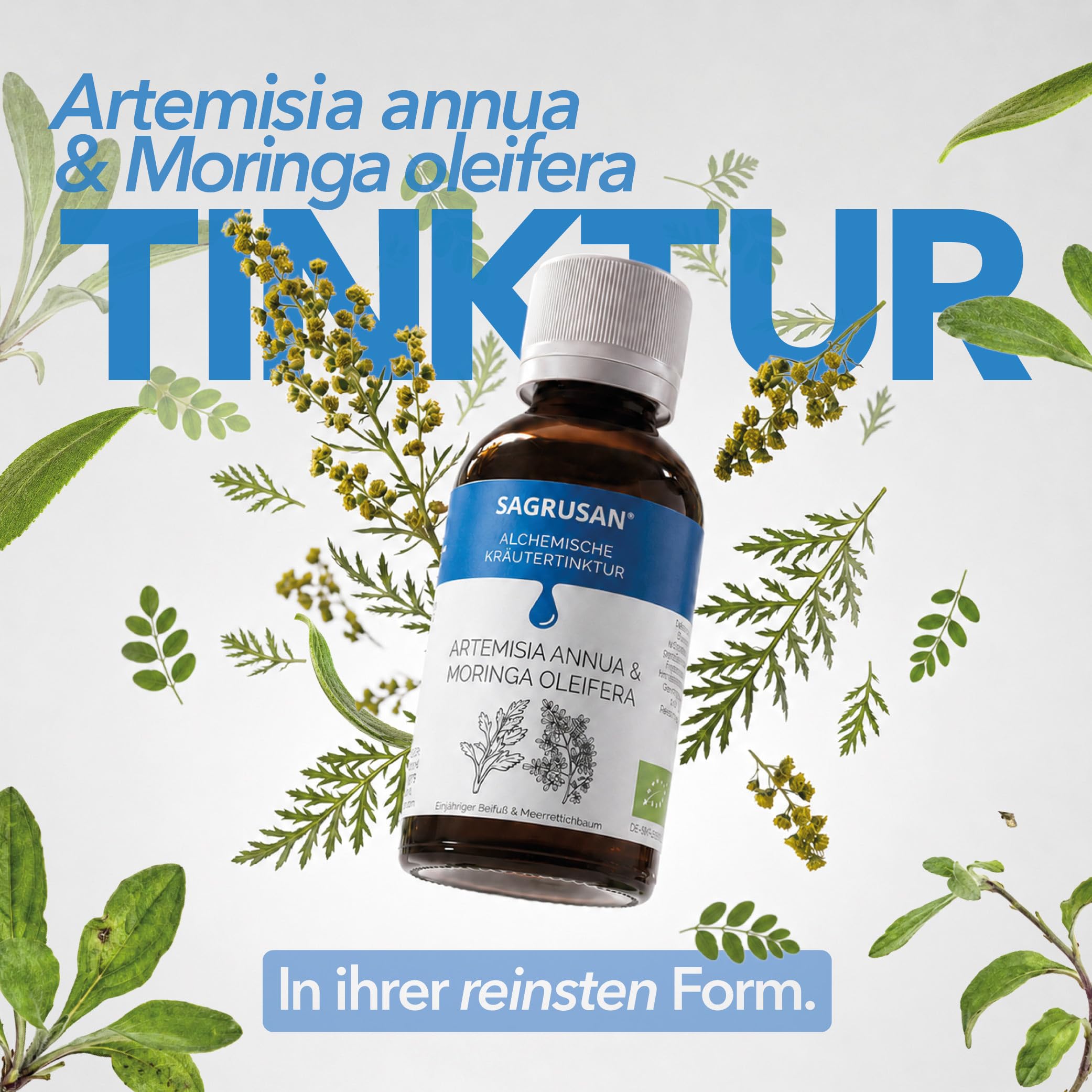Artemisia Annua & Moringa oleifera 100ml Pflanzenextrakt
