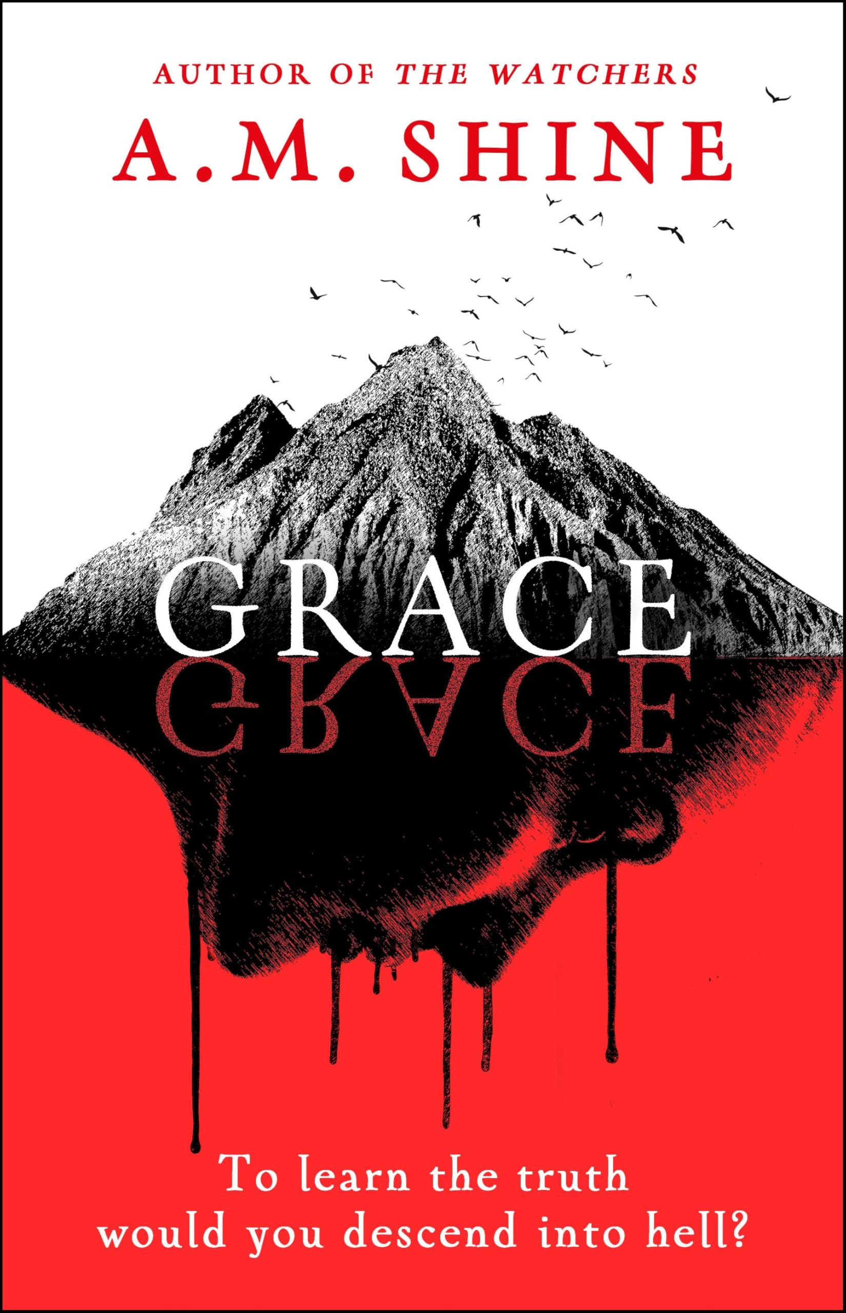 Grace by A.M. Shine - 9781804547984