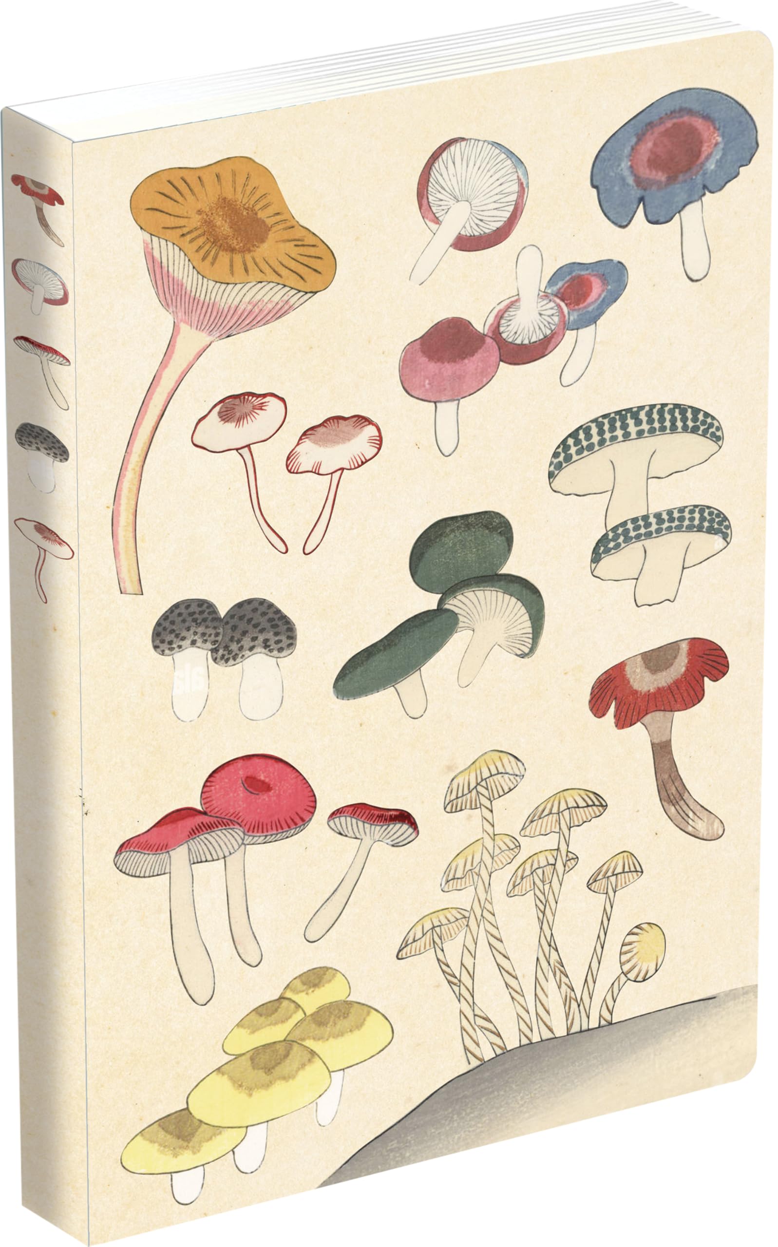 Healing Mushrooms Lined Paperback Journal PAPERBACK 9780804855662