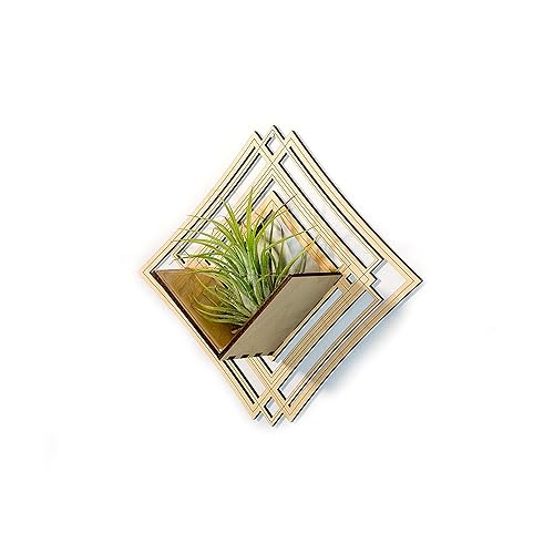 Wall Hanging Planter 5 Maple - Air Plant Holder, Plant Hanger for Tillandsia, Succulents, Cactus - Display Aerium Indoor Home Deco