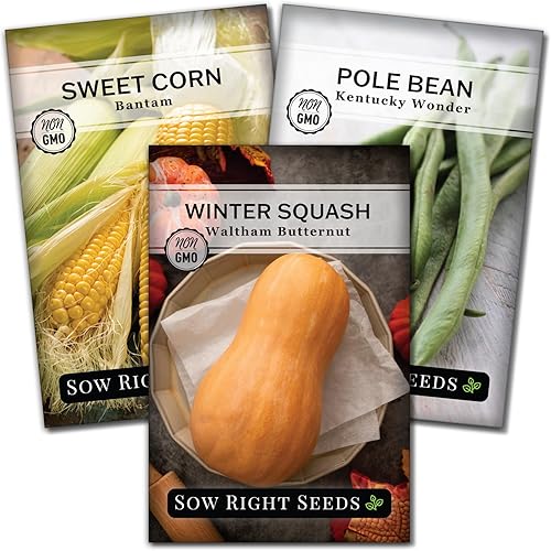 Sow Right Seeds - Colección de semillas de 3 hermanas para plantar - Paquetes de maíz dulce Bantam, frijol Wonder Pole de Kentucky y calabaza