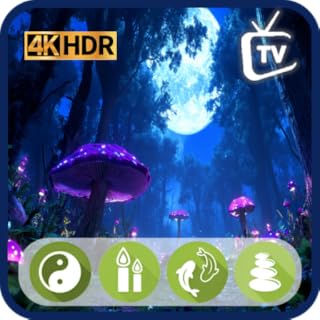 Magical Mushroom Haven TV - Enchanting Nature with a Forecast Panel