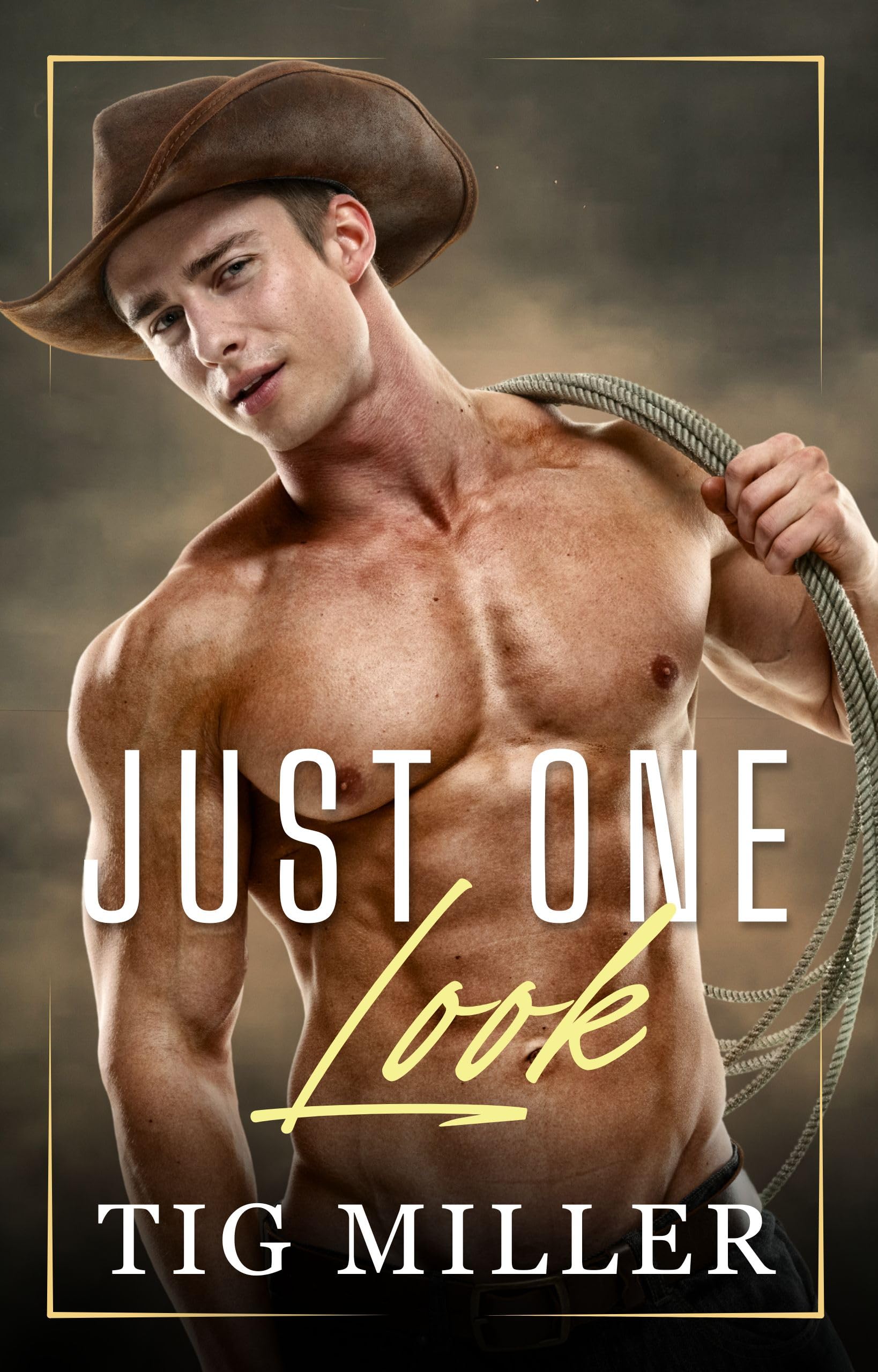 Just One Look: A Small Town Enemies to Lovers MM Romance