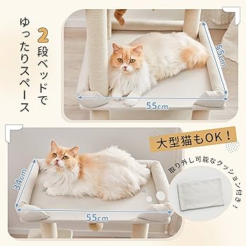 Amazon | MWPO 猫タワー 新素材 大型猫 シニア猫 据え置き 安定 Amazon | MWPO 猫タワー 新素材 大型猫 シニア猫 据え置き 安定