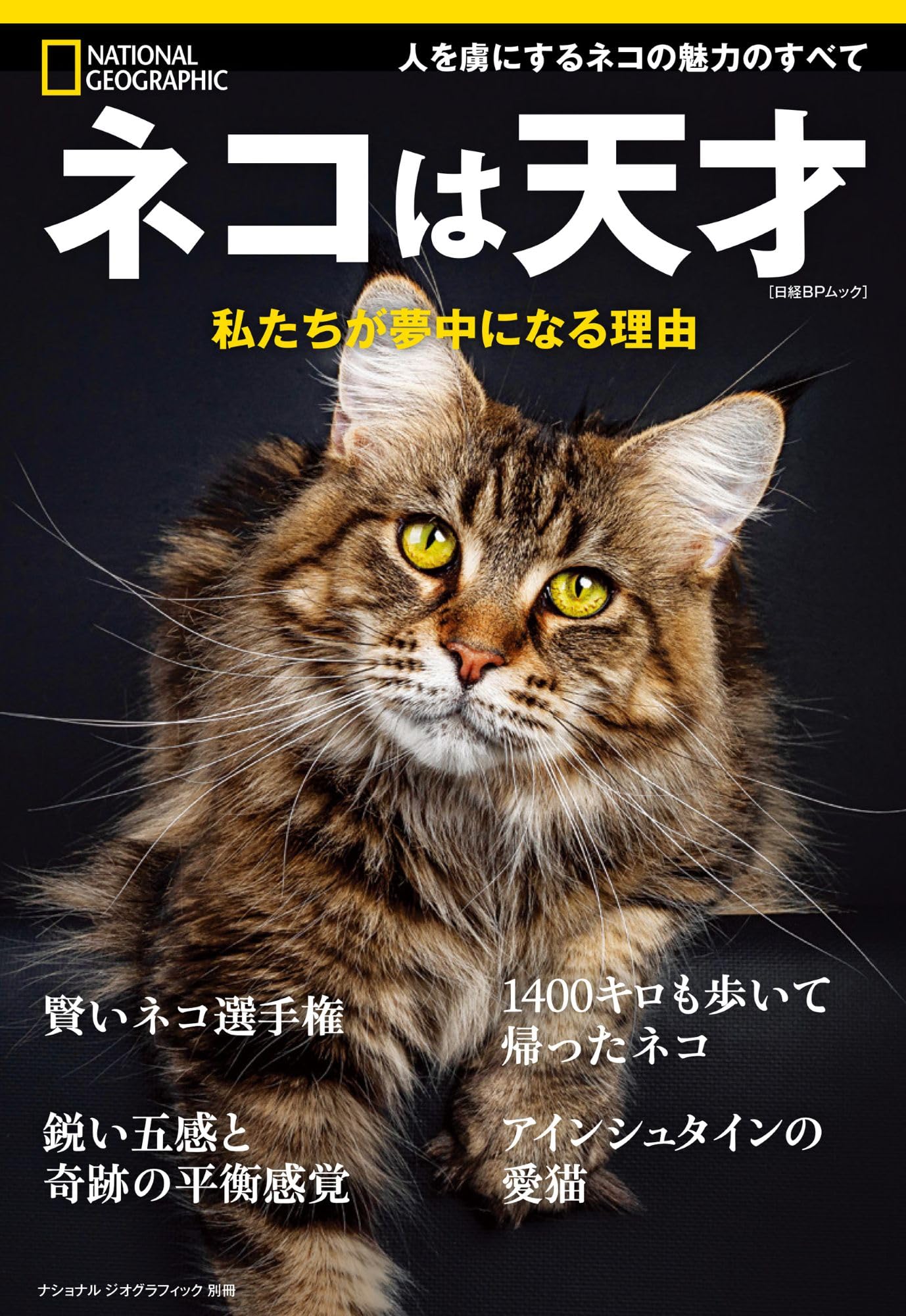 ネコは天才 私たちが夢中になる理由 (ナショナル ジオグラフィック