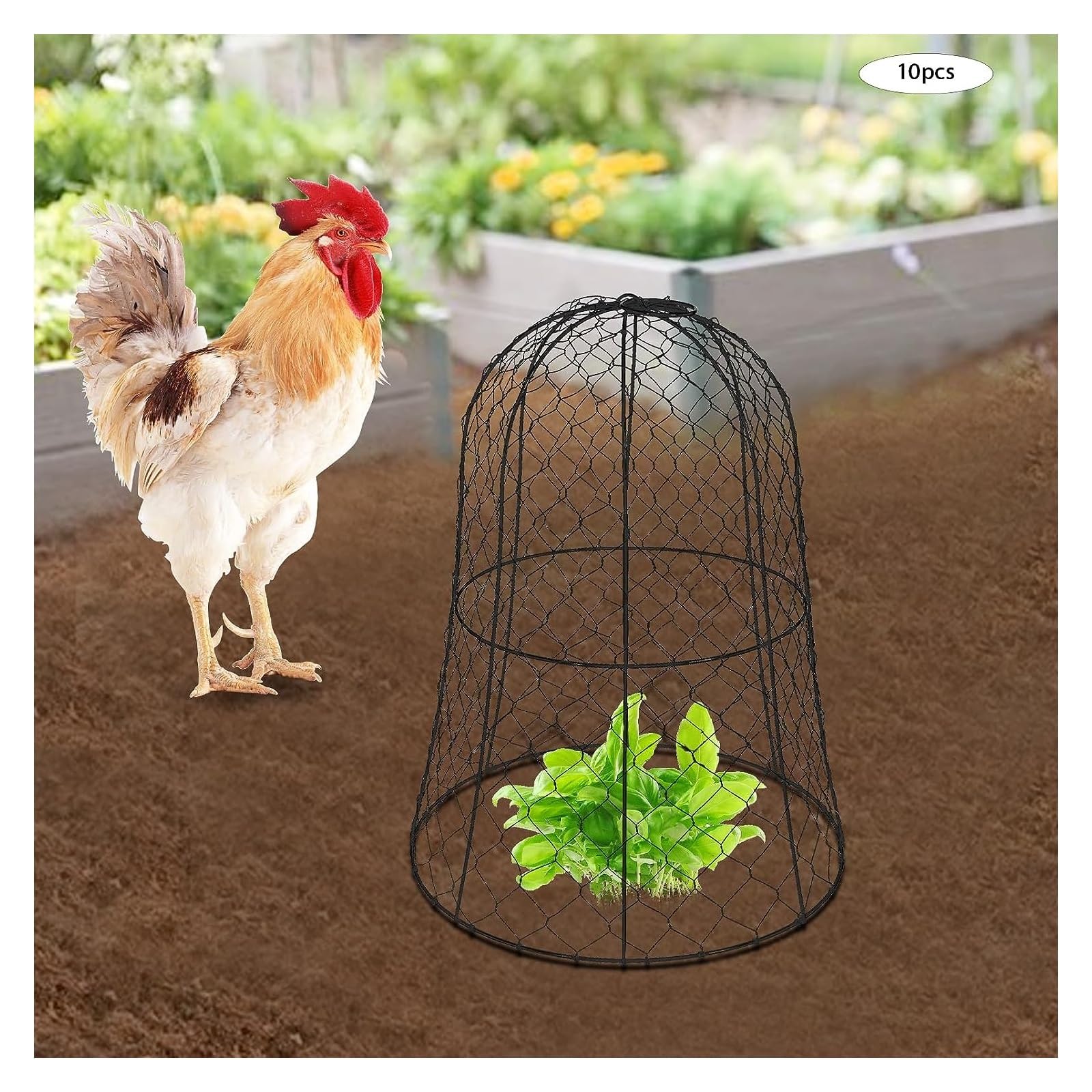 Lot de 6 cloches de jardin pour plantes, protection des plantes en fil de poulet, 32,99 cm de diamètre x 40 cm de hauteur, pour la protection du jardin
