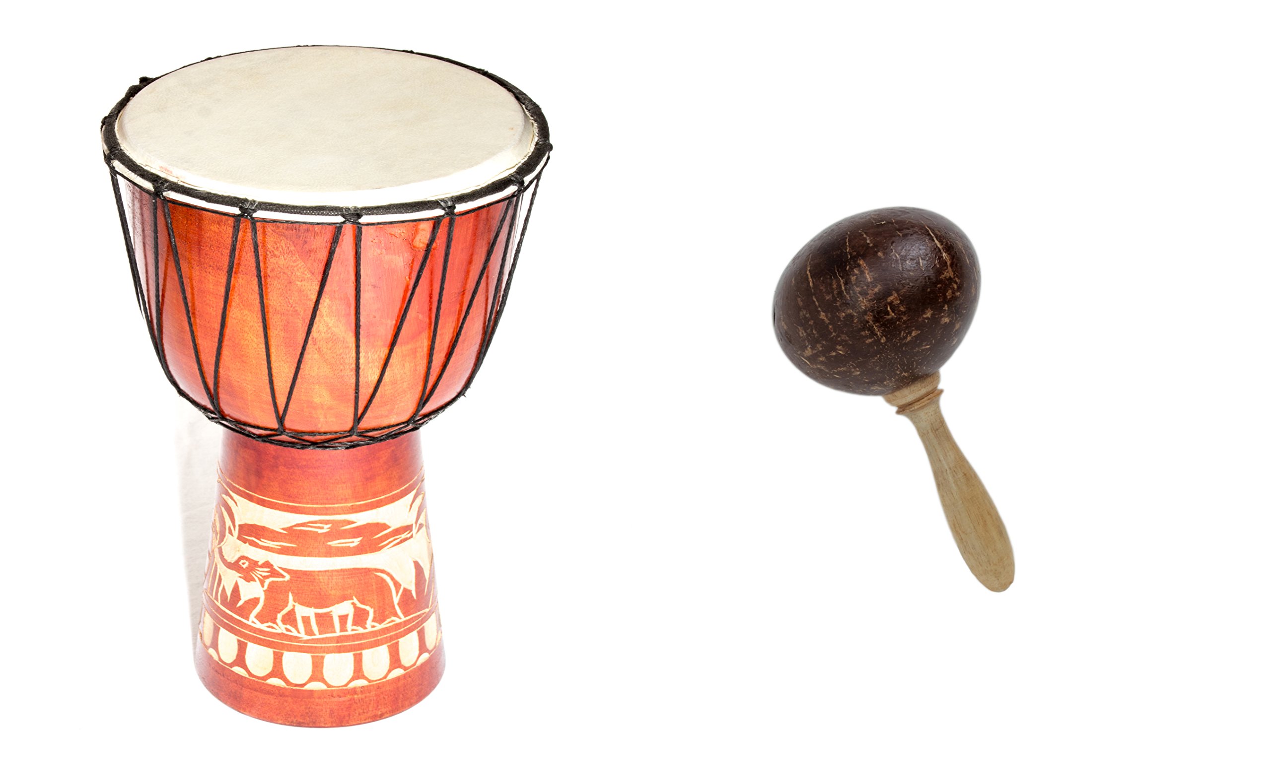 Große 50cm Djembe Holz Trommel Bongo Ziegenfell Elefant Holz + Kokos Rassel Maraca R2