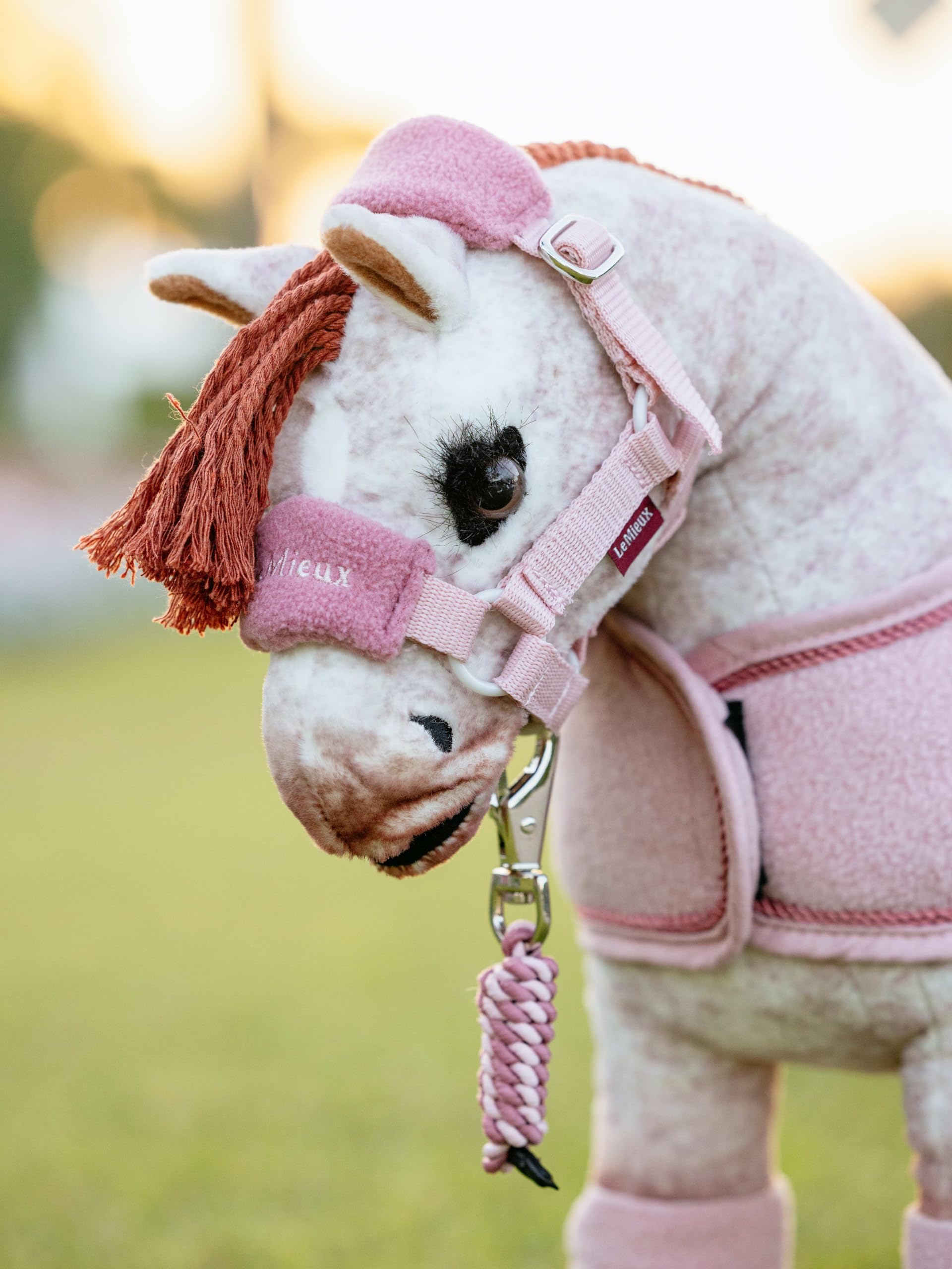 LeMieux Toy Pony Vogue Halfter und Führstrick – ab 3 Jahren – Fleece-gepolstertes Nasenriemen – verstellbarer Riemen – maschinenwaschbar – Blüte – Einheitsgröße