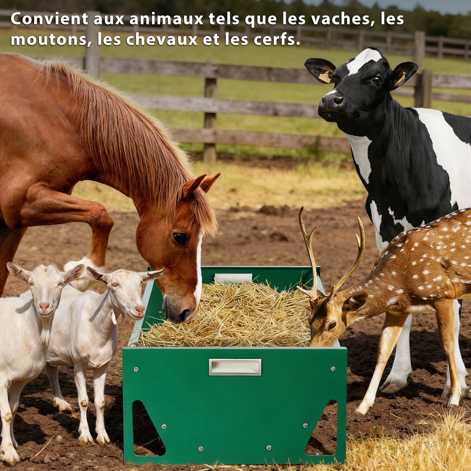 Mangeoire Cheval Acier Galvanisé 100cm Grande Capacité Mangeoire Mouton ExtéRieur pour éLevage de ChèVres Et Moutons Mangeoires pour BéTail Lourd de Charge RéSistant pour Chevaux ChèVre Vache
