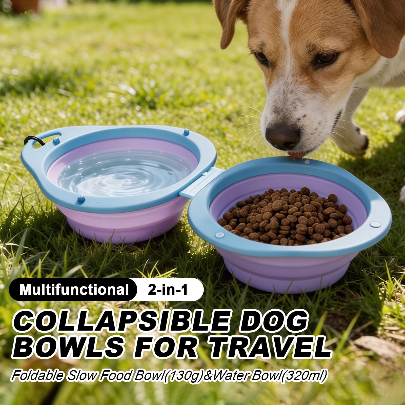 Ciotole per cani pieghevoli 2 in 1 con moschettone viola