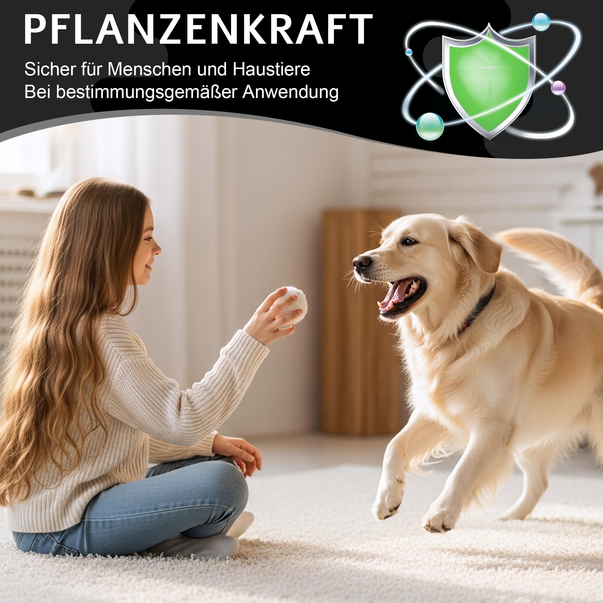 4 Stück Ameisen-Boxen-Gel für Effektive in Innenräumen, 4 * 30G Ameisenköderdose Geruchslos, Sicher für Kinder & Haustiere