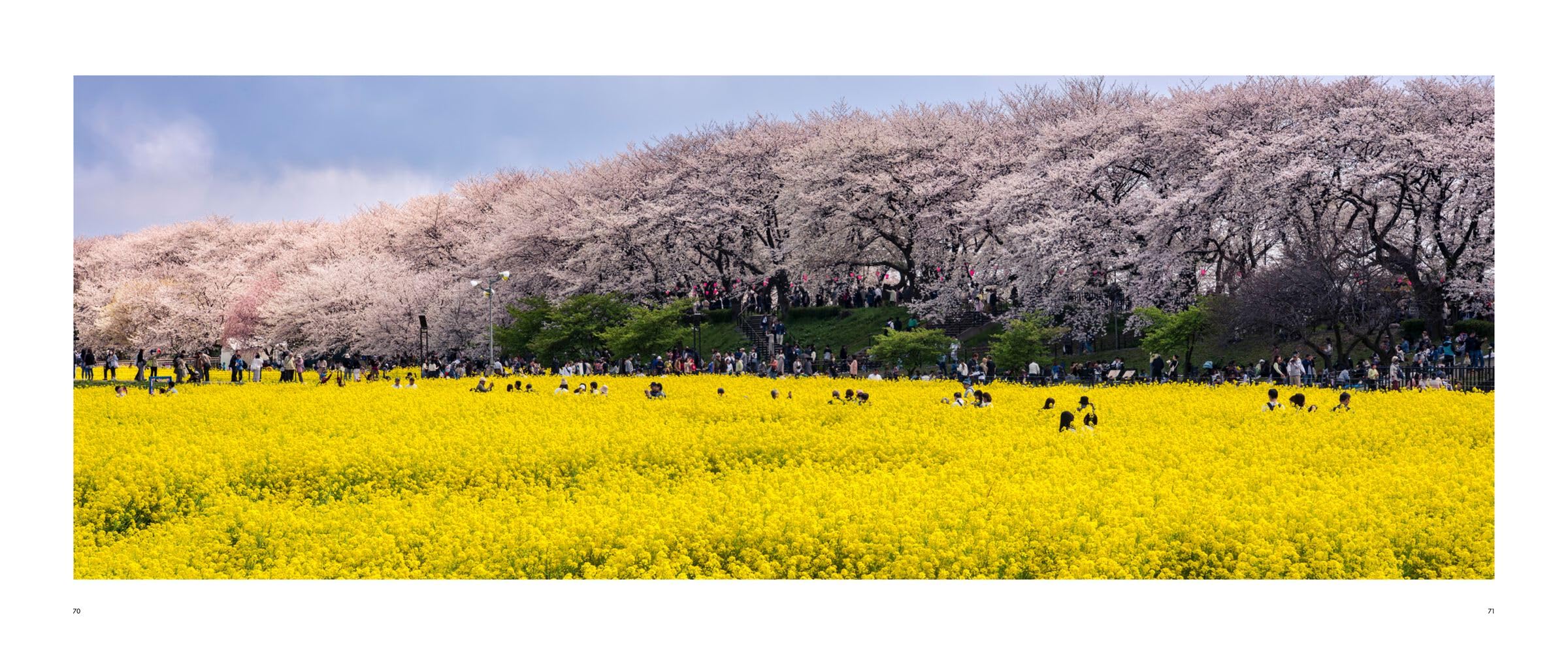 The Nature of Japan