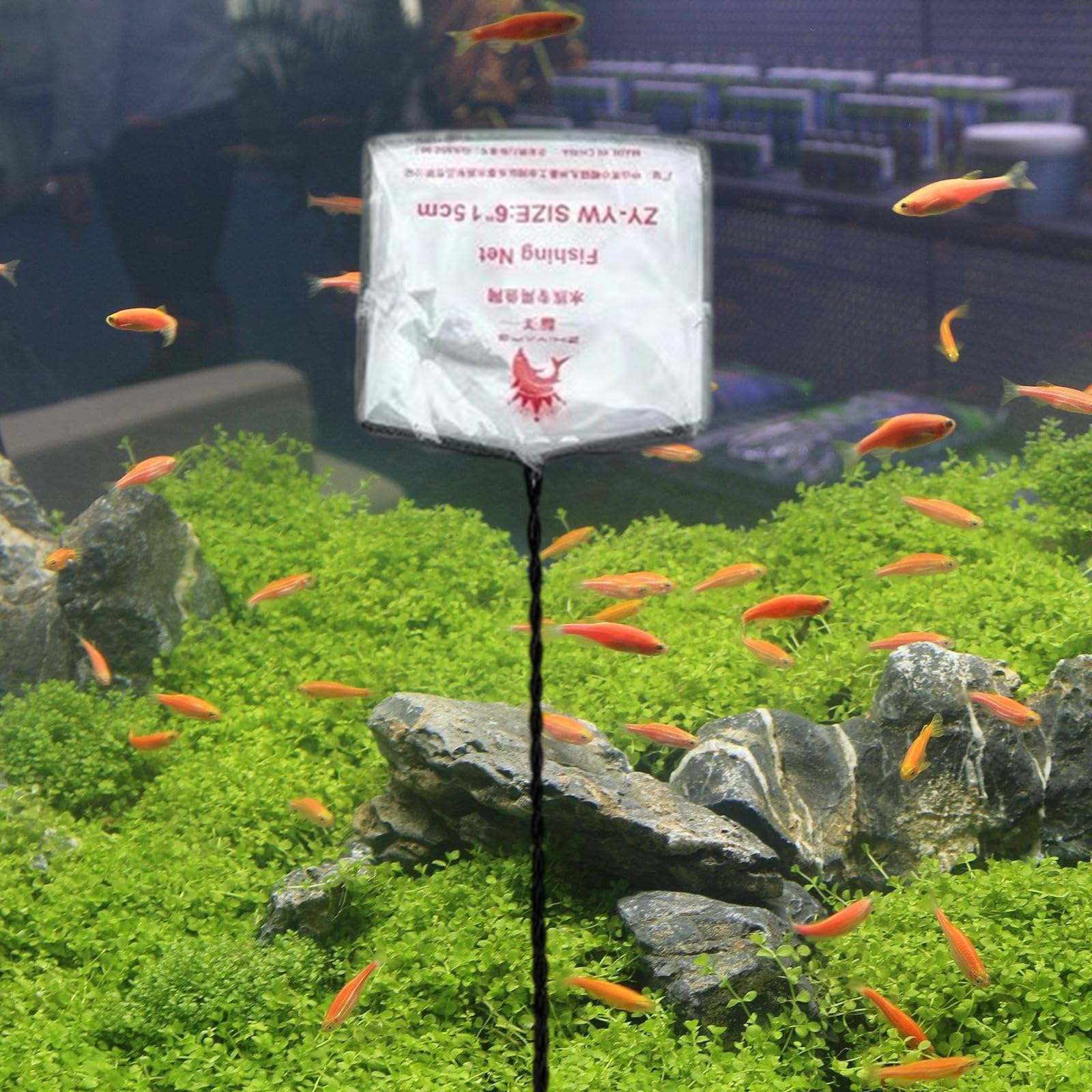 PANGBOER Paquete De 10 Cucharas Limpieza Fina Profesionales para Acuarios Red Peces Varias Ocasiones Hogar Y Oficina Red Pesca Peceras