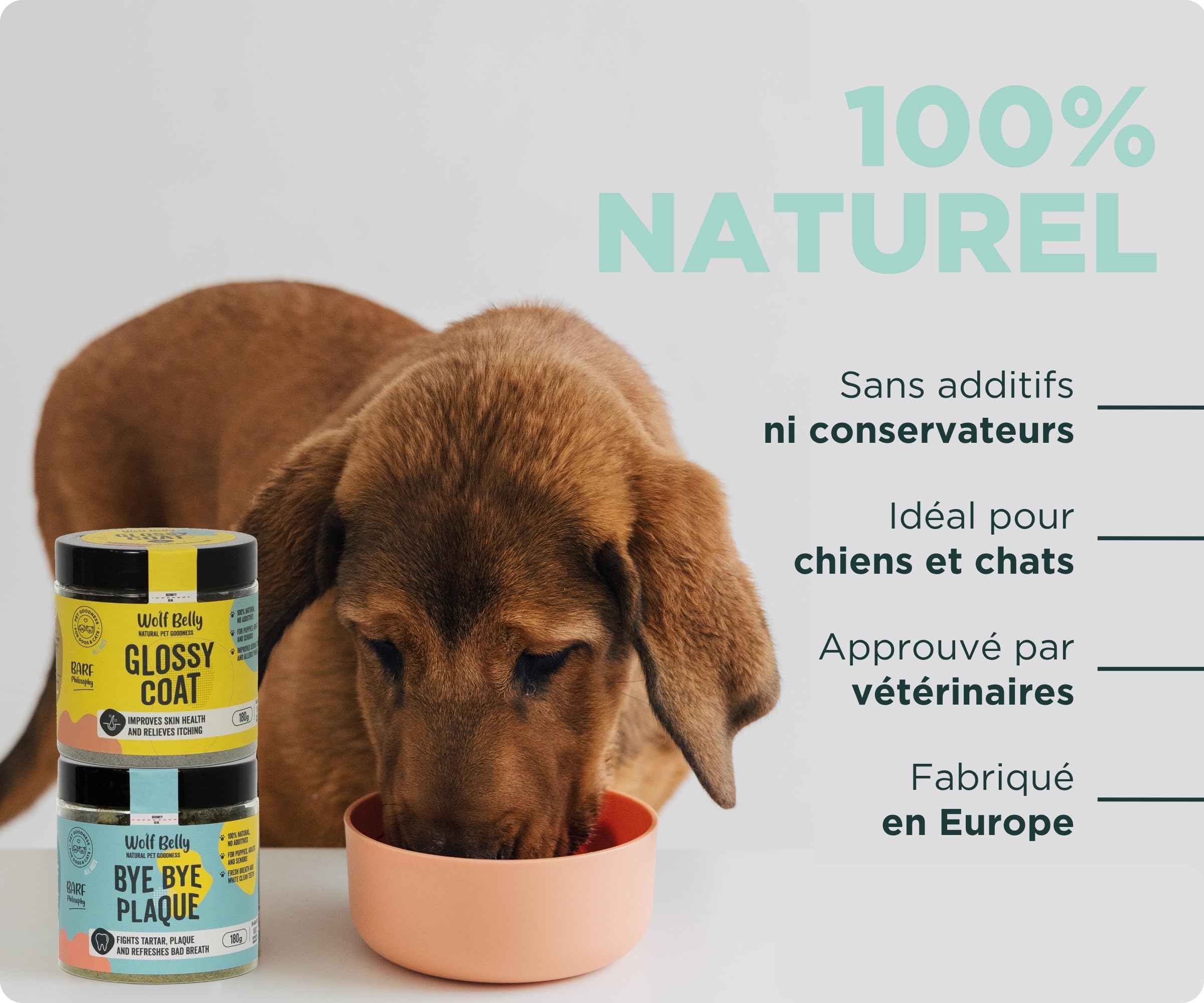 Wolf Belly - Pack Complément Peau et Hygiène Dentaire 100% Naturel (180g) | Anti tartre + Anti demangeaison | pour Chiens et Chats | Format Poudre - Fabriqué en UE