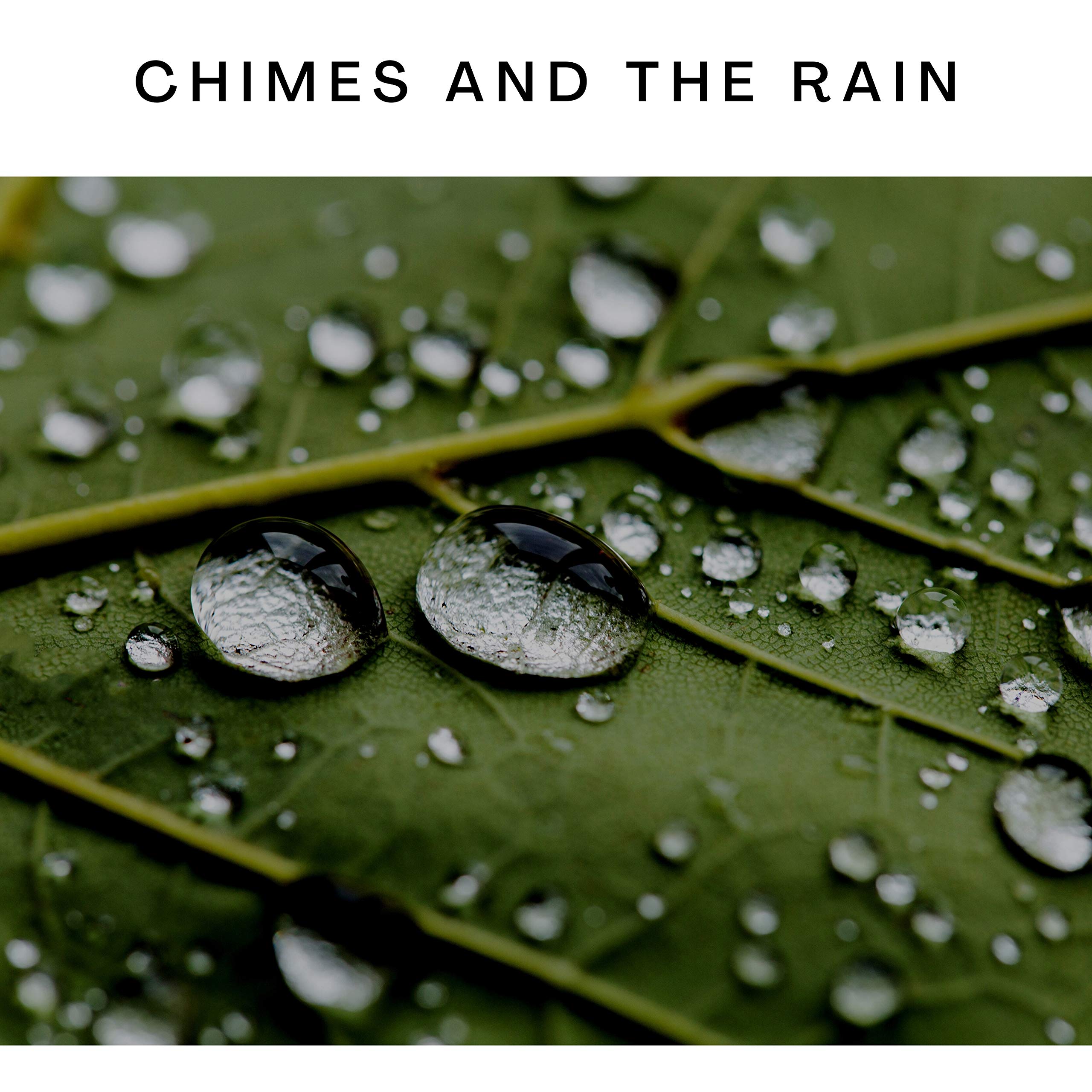 The Patter of Rain on the Window Ledge