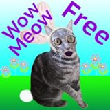 Share your Wilber the Wow Meow Bunny Cat scores with your friends on Twitter and Facebook