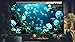 Dream Aquarium – Relaxing Fish Tank & Ocean TV Screensaver