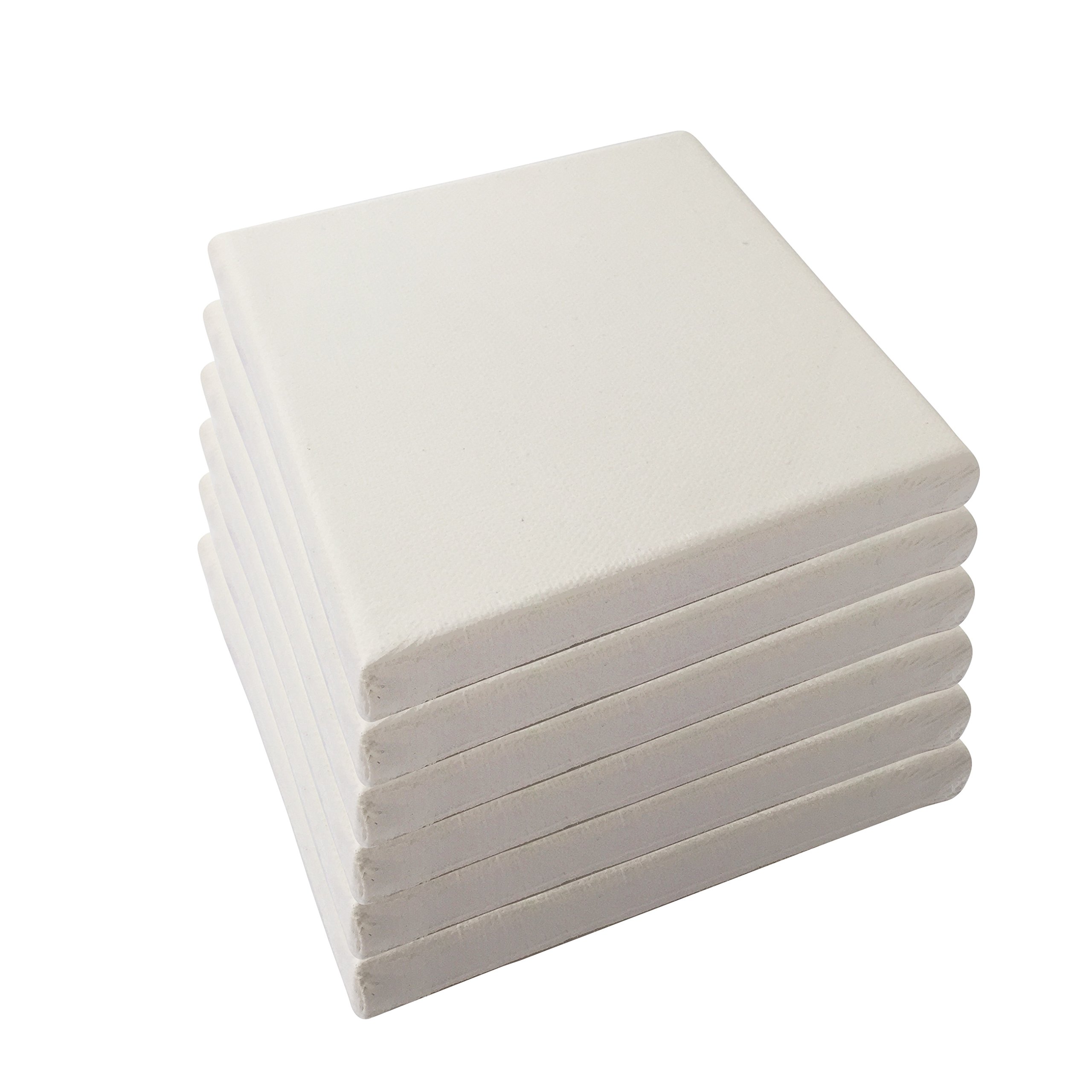 LWR CRAFTSStretched Canvas 5" X 5" Pack of 6