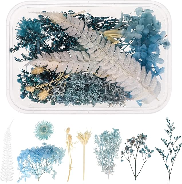 Dacitiery Natural Dried Flowers Pressed Flowers Real Dried Pressed Flowers and Leaves Dried Flowers Set for Scrapbooking DIY Candle Resin Jewelry Crafts(Blue)