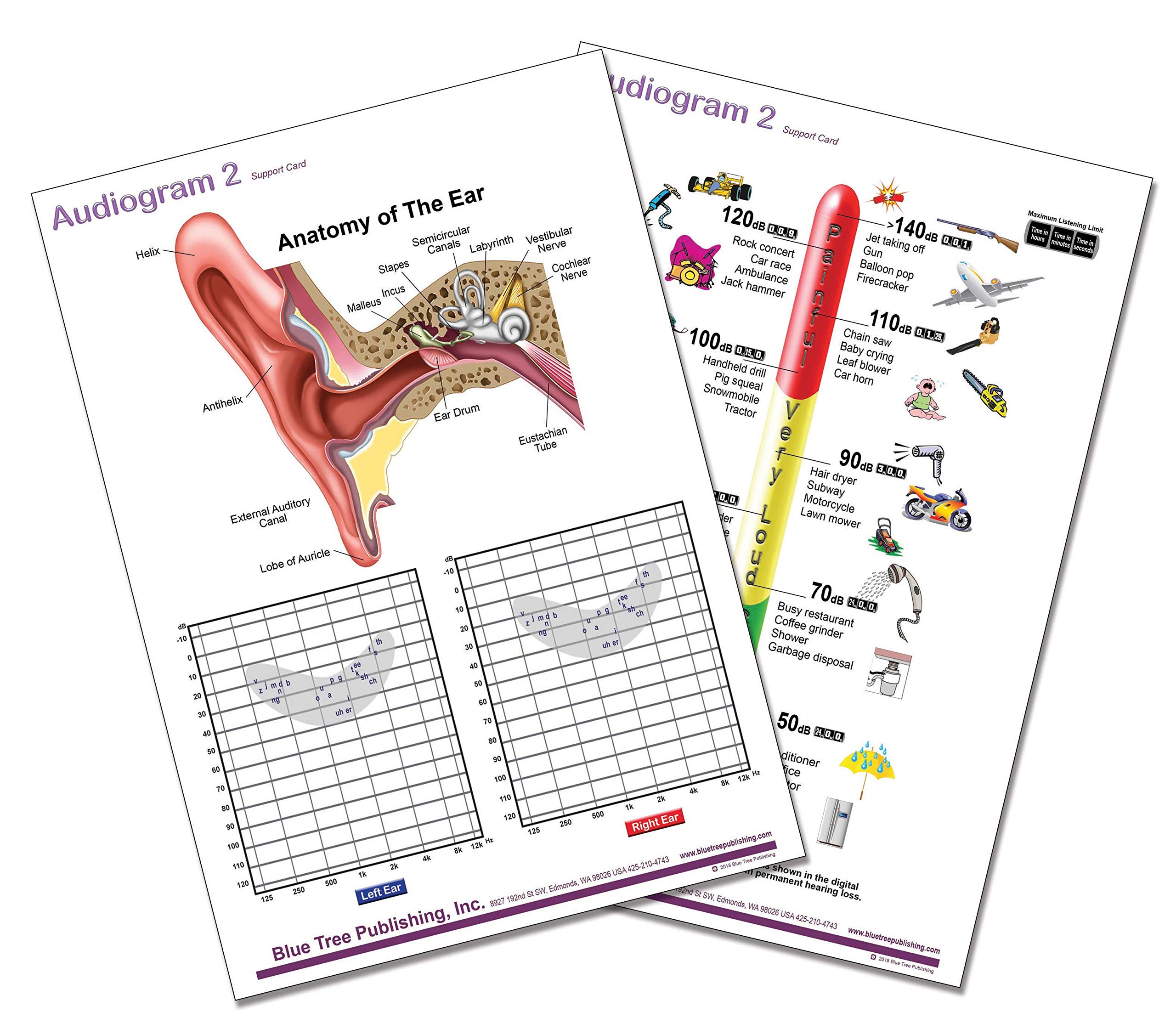 Daily Noise Chart, Audiologist, Common Sounds and Levels (A4 Size Set)