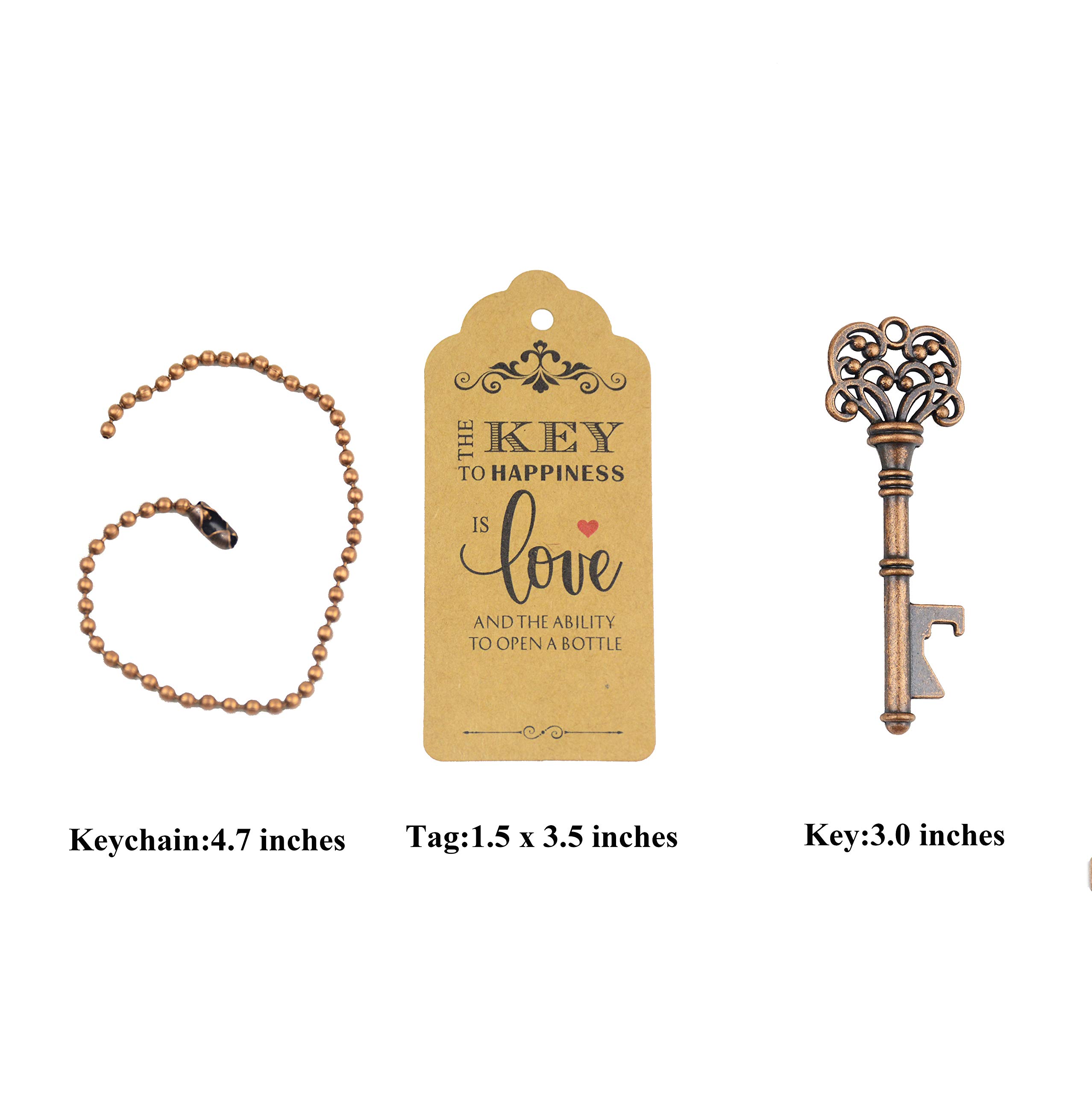 Aokbean 52 stks Vintage Skelet Sleutel Flesopener Rustiek Bruilofts Gunsten Gast Souvenir Cadeauset met Bedanktag en Sleutelhanger (Antiek Zilver