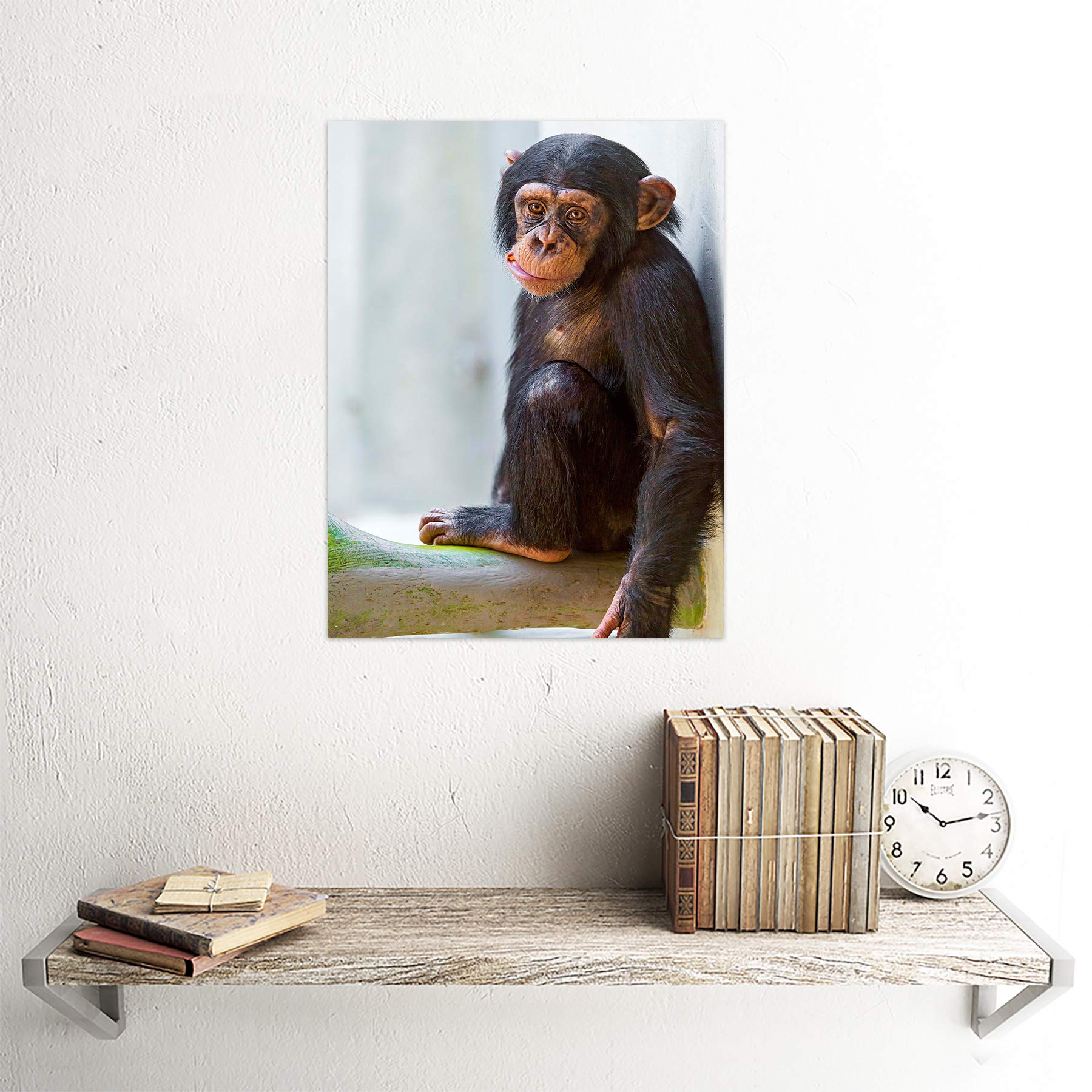 Wee Blue Coo Photo Cute Chimpanzee Chimp Baby Chewing Carrot Lámina