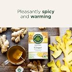Traditional Medicinals - Thé aux herbes biologique au gingembre (Paquet de 1) - Agréablement épicé et réchauffant - 16 sachets de thé au total
