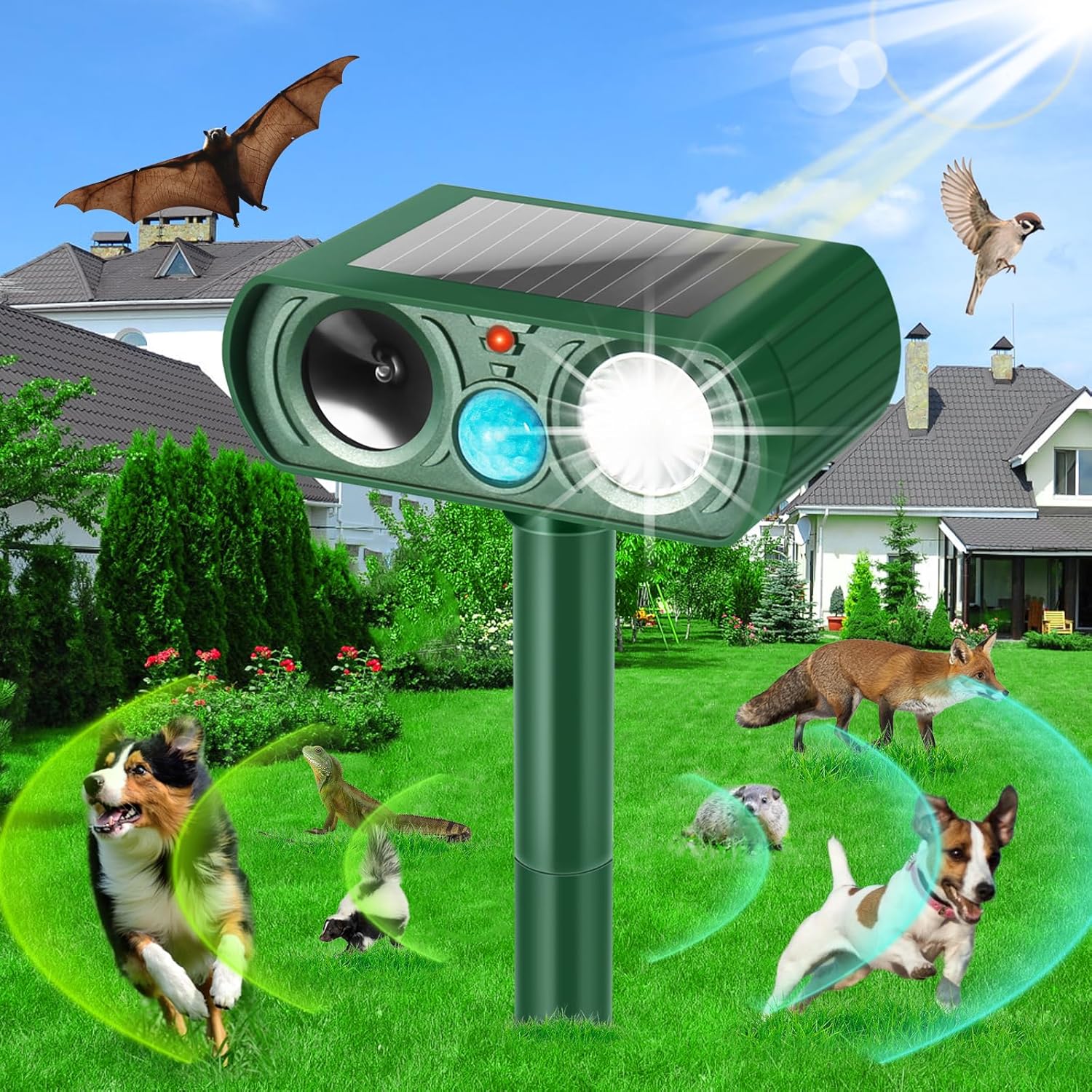 Cat Repellent Garden Ultrasonic Fox Repellant Cat Deterrent Pet Animal