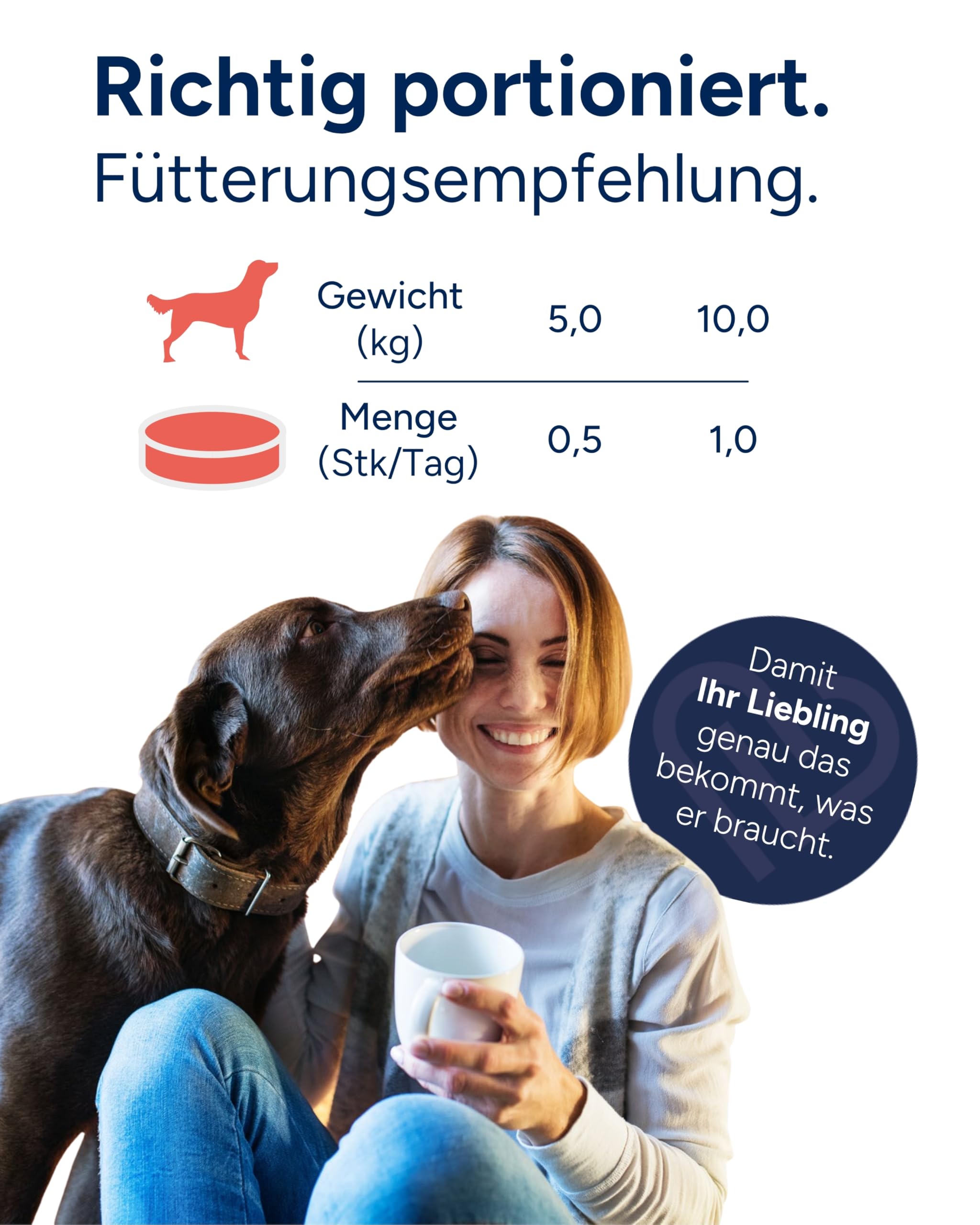 NutriLabs Dexboron forte Hunde Kautabletten 150 STK. - Tabletten mit Teufelskralle - Regenerationsmittel mit Weidenrinde, Weihrauchextrakt u.v.m.