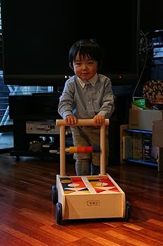 81jmaYQ04tL._AC_UF350,