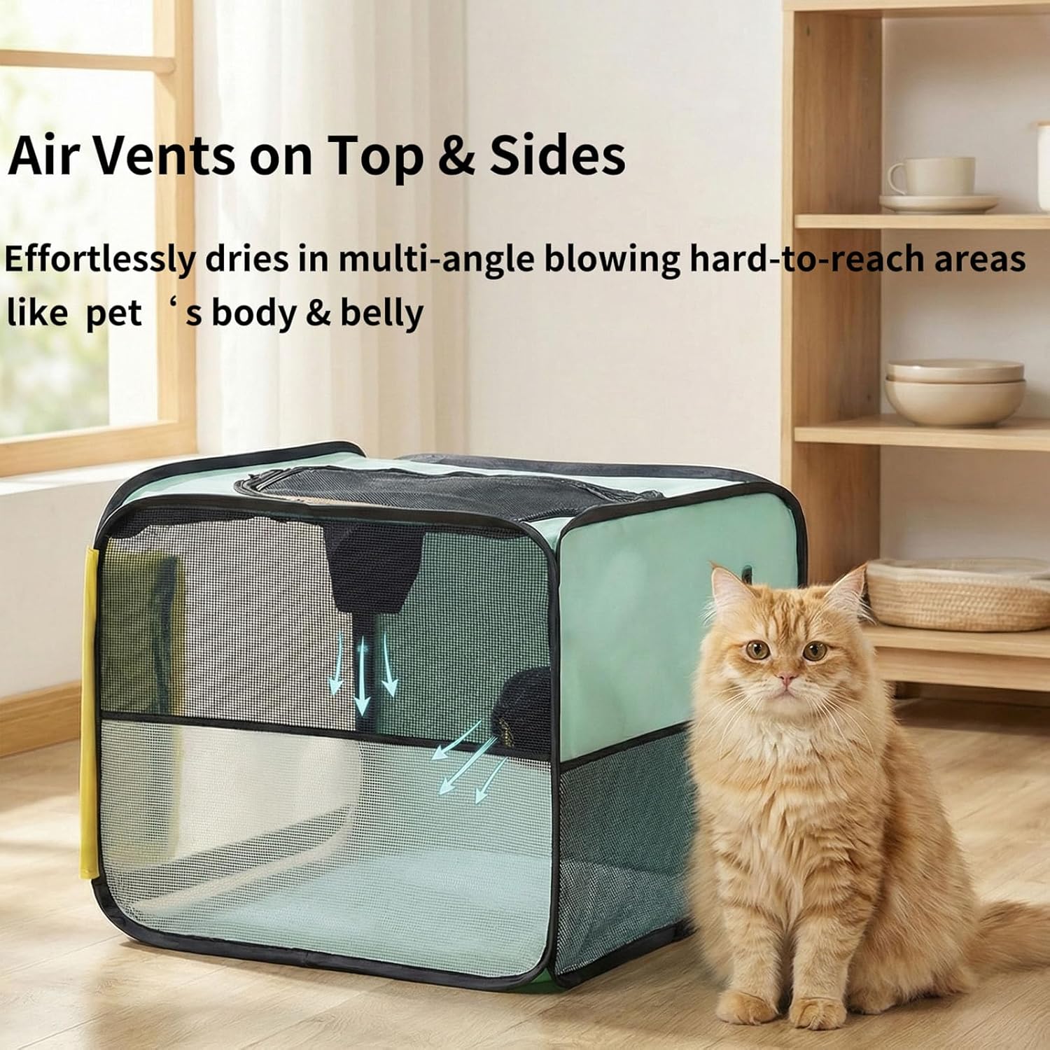 https://m.media-amazon.com/images/I/81jmgITHB3L._AC_SL1500_.jpg