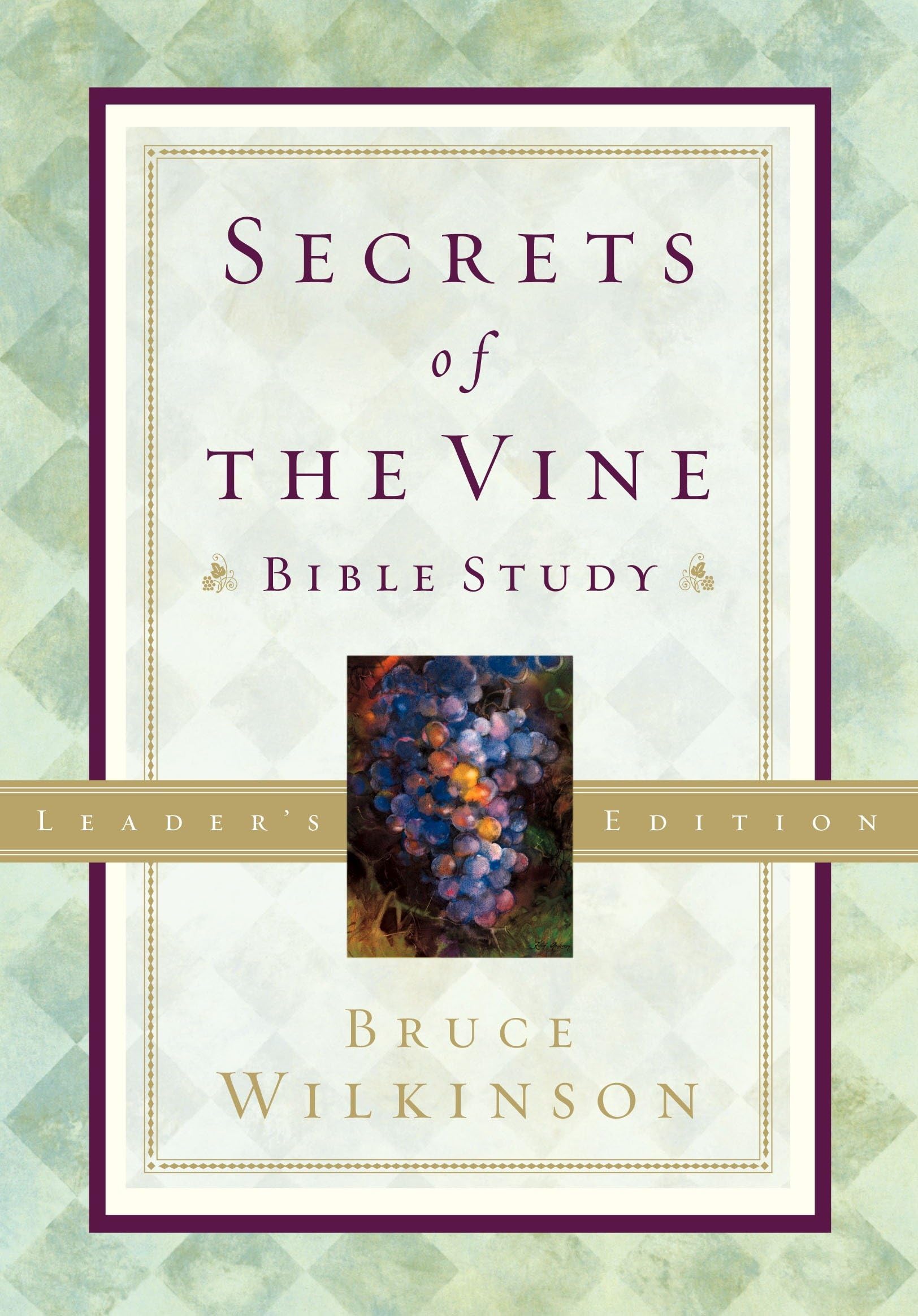 Secrets of the Vine Leader's Guide: Breaking Through to Abundance: 02