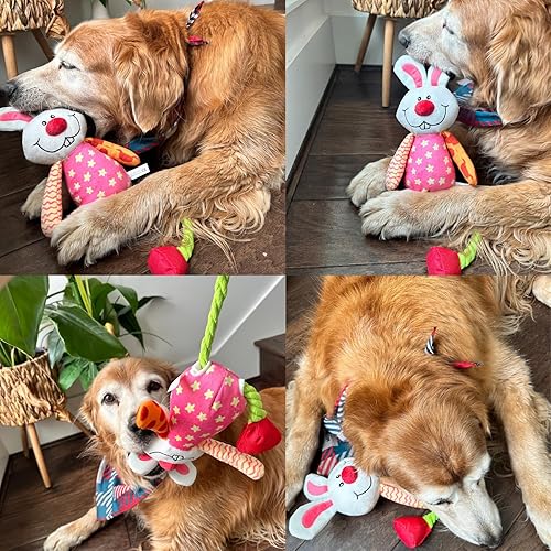 Miniatura 6 de UNISE Juguetes chirriantes para perros, juguetes de peluche de conejo de Pascua para perros pequeños, medianos y grandes, juguetes de dentición para