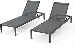 Christopher Knight Outdoor Chaise Lounges