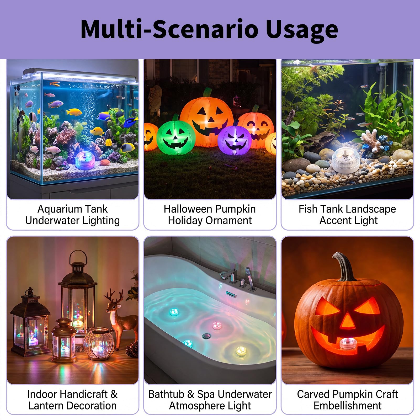 View 7