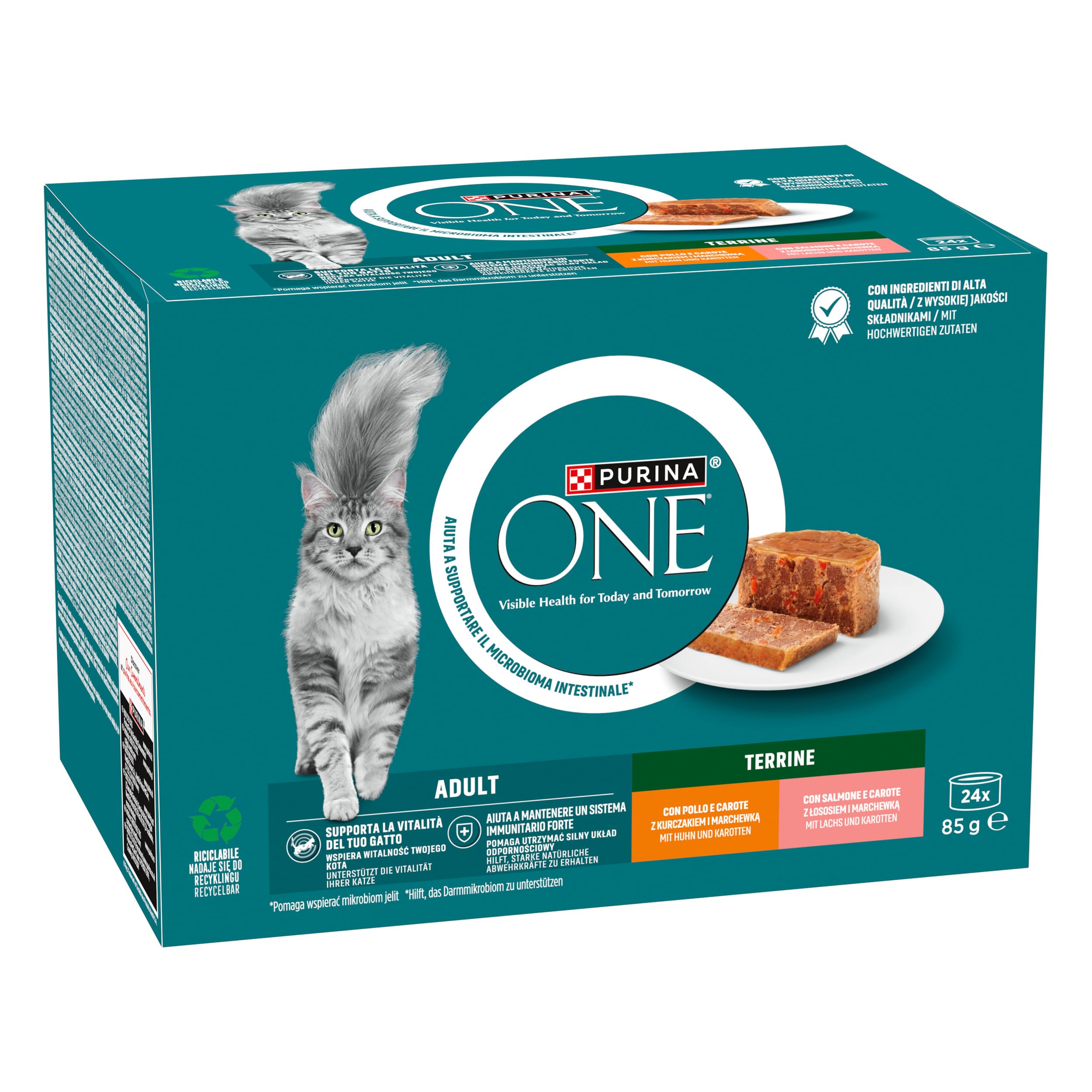 Purina ONE Bifensis Cibo Umido Per Gatti Sterilizzati – Salmone In Terrina Con Verdure, 48 Lattine Da 85 G, Per Una Digestione Sana