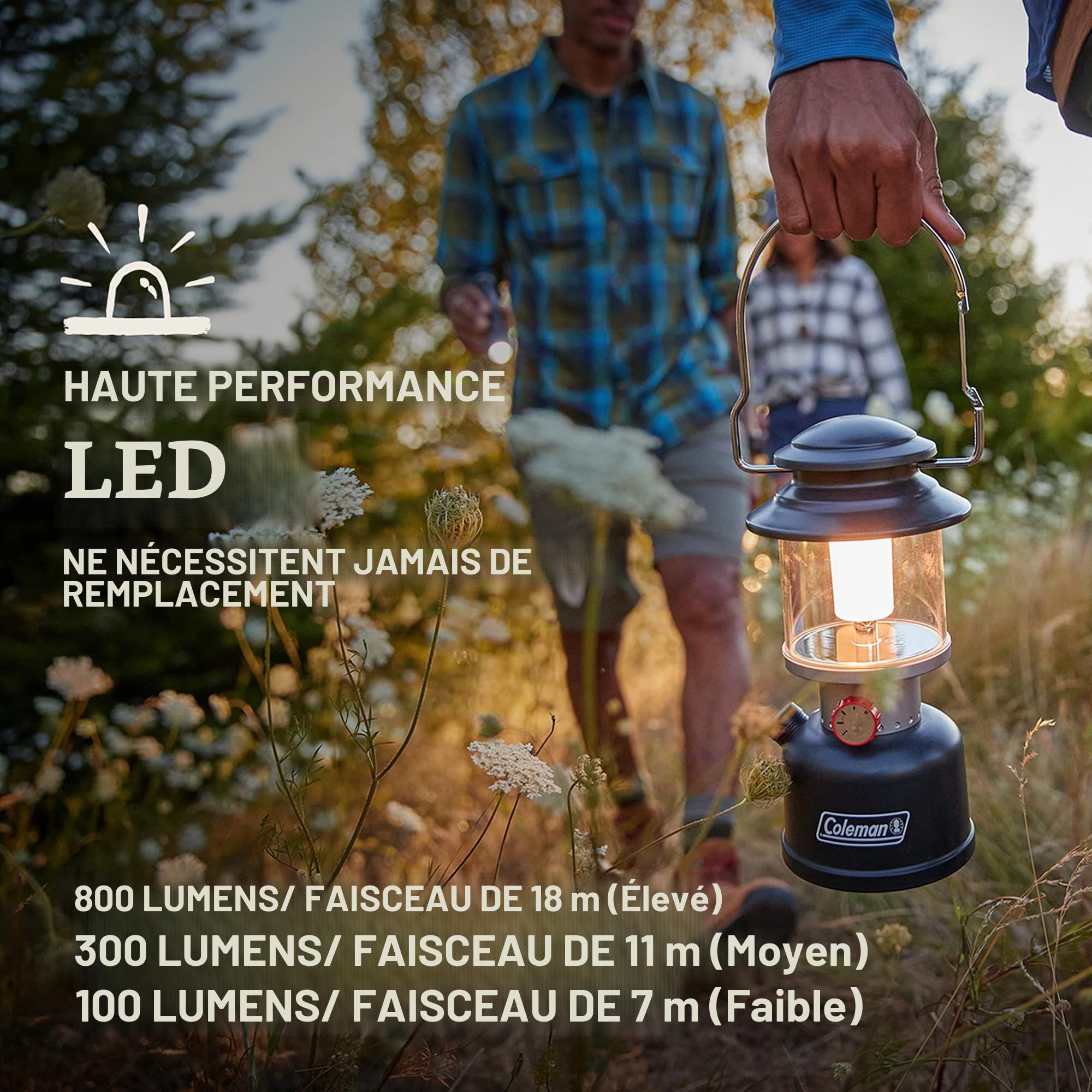 LANTERNE CLASSIQUE RECHARGE 800L C002