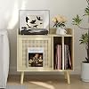 Semiocthome Record Player Stand with Vinyl Storage, Record Player Table with Storage Shelf, Turntable Stand with Rattan Cabinet Door (Small)