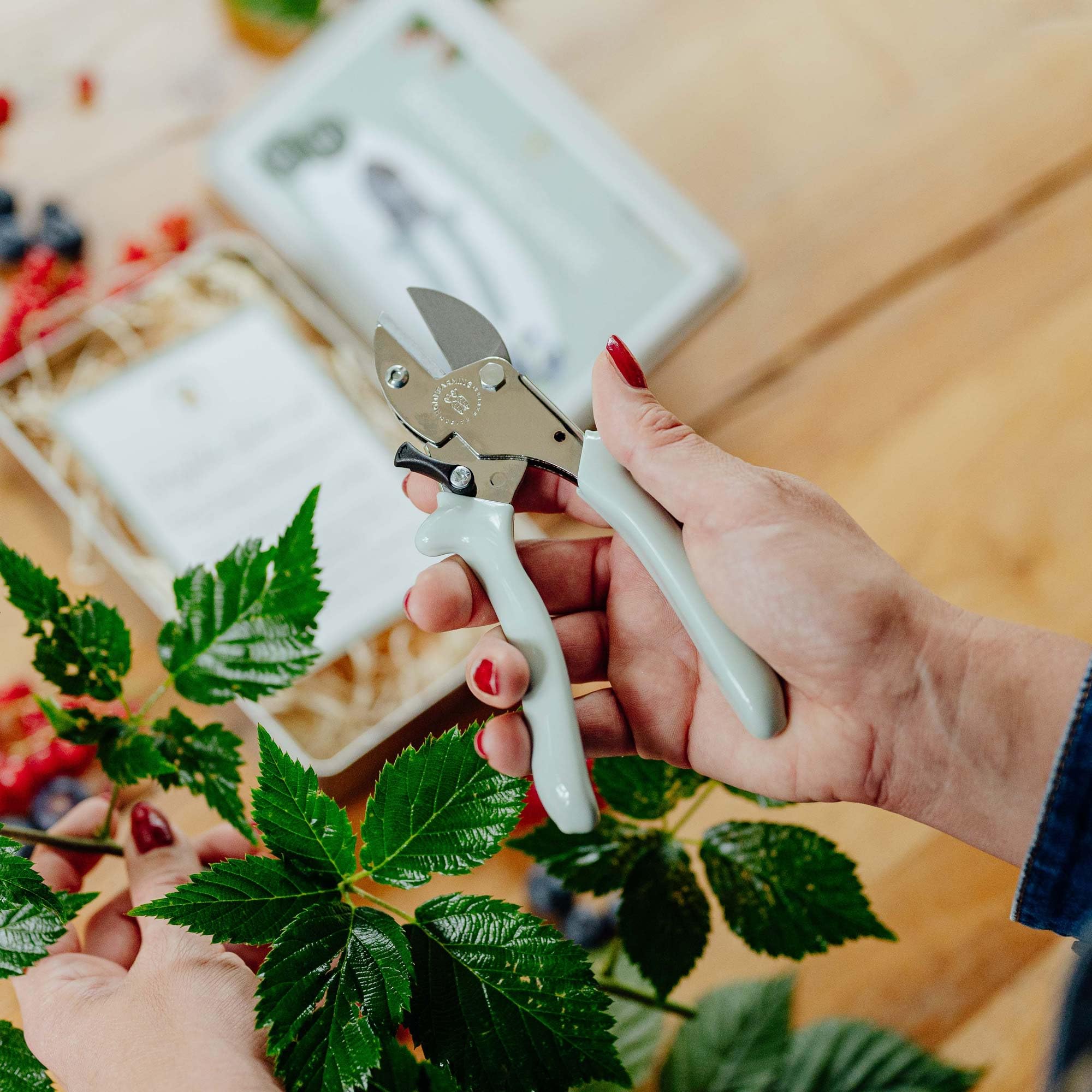 Homefarming Judith Rakers Beerenschere - egal ob du Sträucher, Blumen oder kleine Äste schneiden möchtest – die Beerenschere ist dein perfekter Begleiter für die Gartenarbeit.