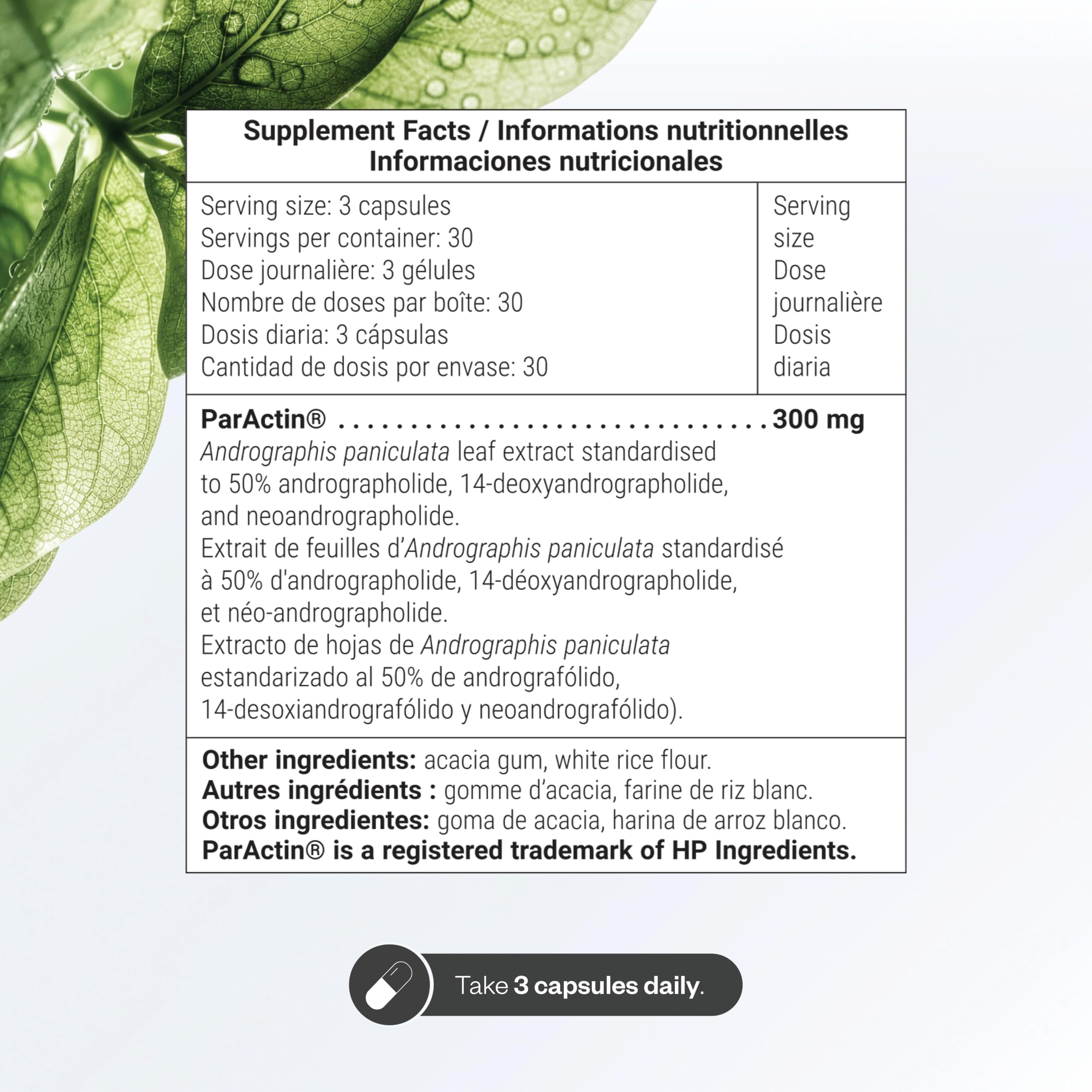 Supersmart - ParActin Supplement 300mg per Day (High Strength) - Andrographis Paniculata | Non-GMO & Gluten Free - 90 Vegetarian Capsules — Amazon image 4