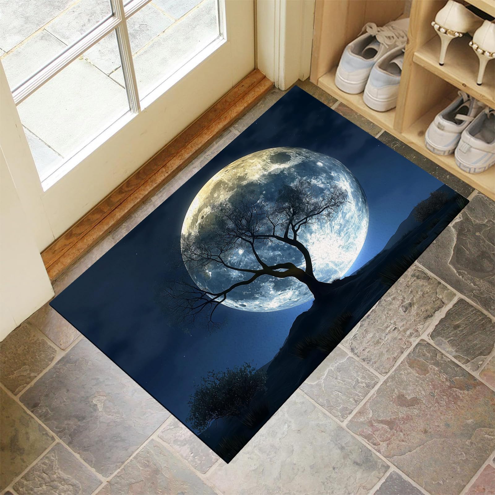 Tapis de porte pour couloir et jardin grand paillasson lune de nuit