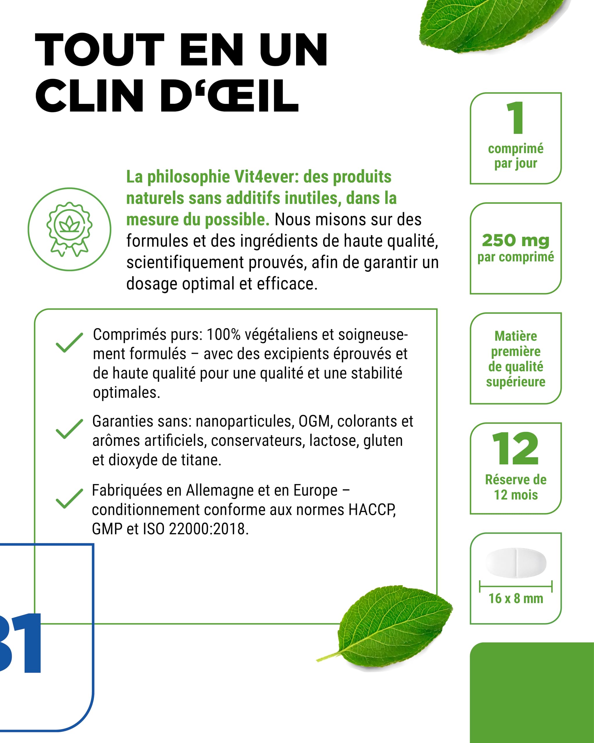 Vitamine B1 (Thiamine) - 250 mg - 365 Comprimés - Premium : Thiamine Hydrochloride - Haute biodisponibilité - Réserve de 12 mois - Sans additif indésirable - Vegan