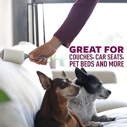 Miniatura 4 de Scotch-Brite Pet - Rodillo de pelusa extra adhesivo para pelo de mascotas, muebles y ropa, 6 recambios de rodillos, 420 hojas, color blanco