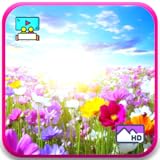 春の草原の静寂 - 穏やかな庭園の風景